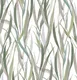 9025 | 10 Meter x 21 Inch Tropical Look Wallpaper - 57 Sq. Ft. Image 01