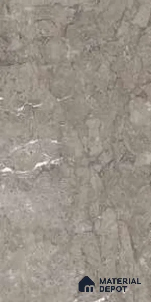 TL 13364 Emil Grey 4 ft x 2 ft Glossy Finish Vitrified Tile - 9 mm