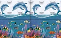 TL 05792 B Platinum Highlighter 2 450x300 mm Glossy Finish Ceramic Wall Tile - 7 mm| Image 1