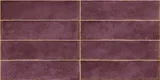 Dusty Plum