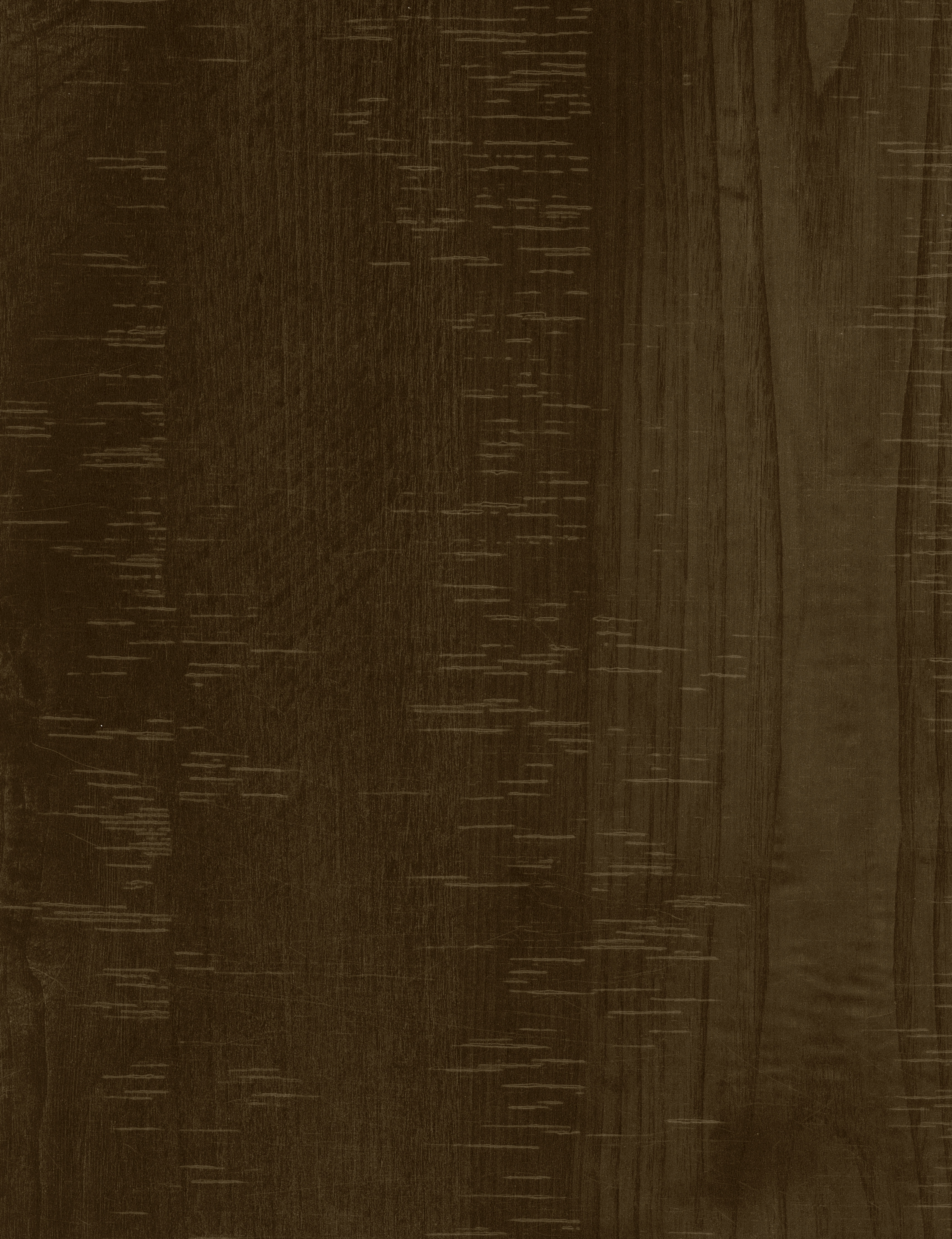 Wooden Look AS 1670 Amazon Spring 8 ft x 4 ft Texture Finish Decorative Laminate - 1.25 mm | Suitable for TV Unit, Wardrobe, Kitchen Cabinets
