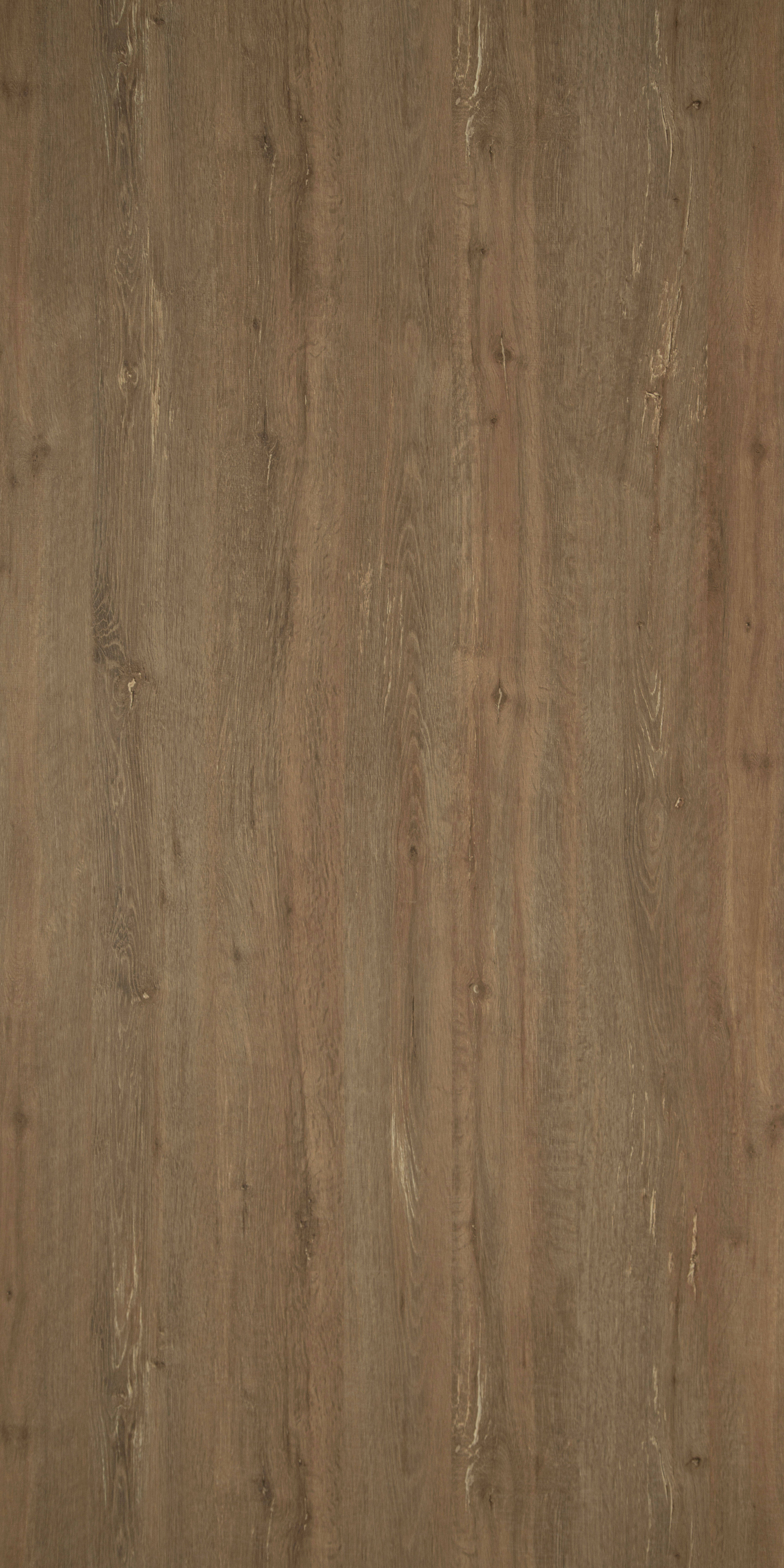 Wooden Look AS 1675 Amazon Spring 8 ft x 4 ft Texture Finish Decorative Laminate - 1.25 mm | Suitable for TV Unit, Wardrobe, Kitchen Cabinets
