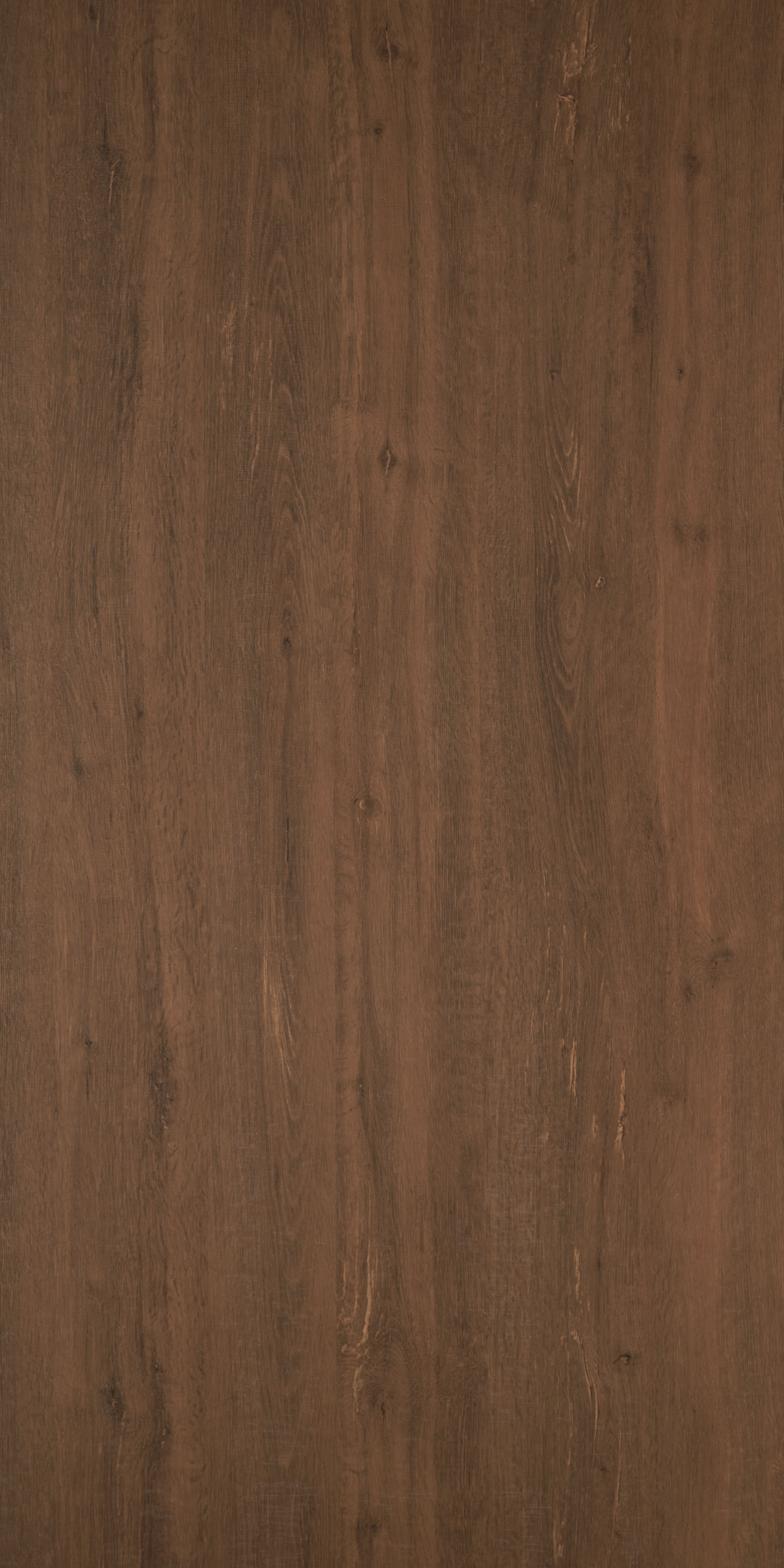 Wooden Look AS 1676 Amazon Spring 8 ft x 4 ft Texture Finish Decorative Laminate - 1.25 mm | Suitable for TV Unit, Wardrobe, Kitchen Cabinets