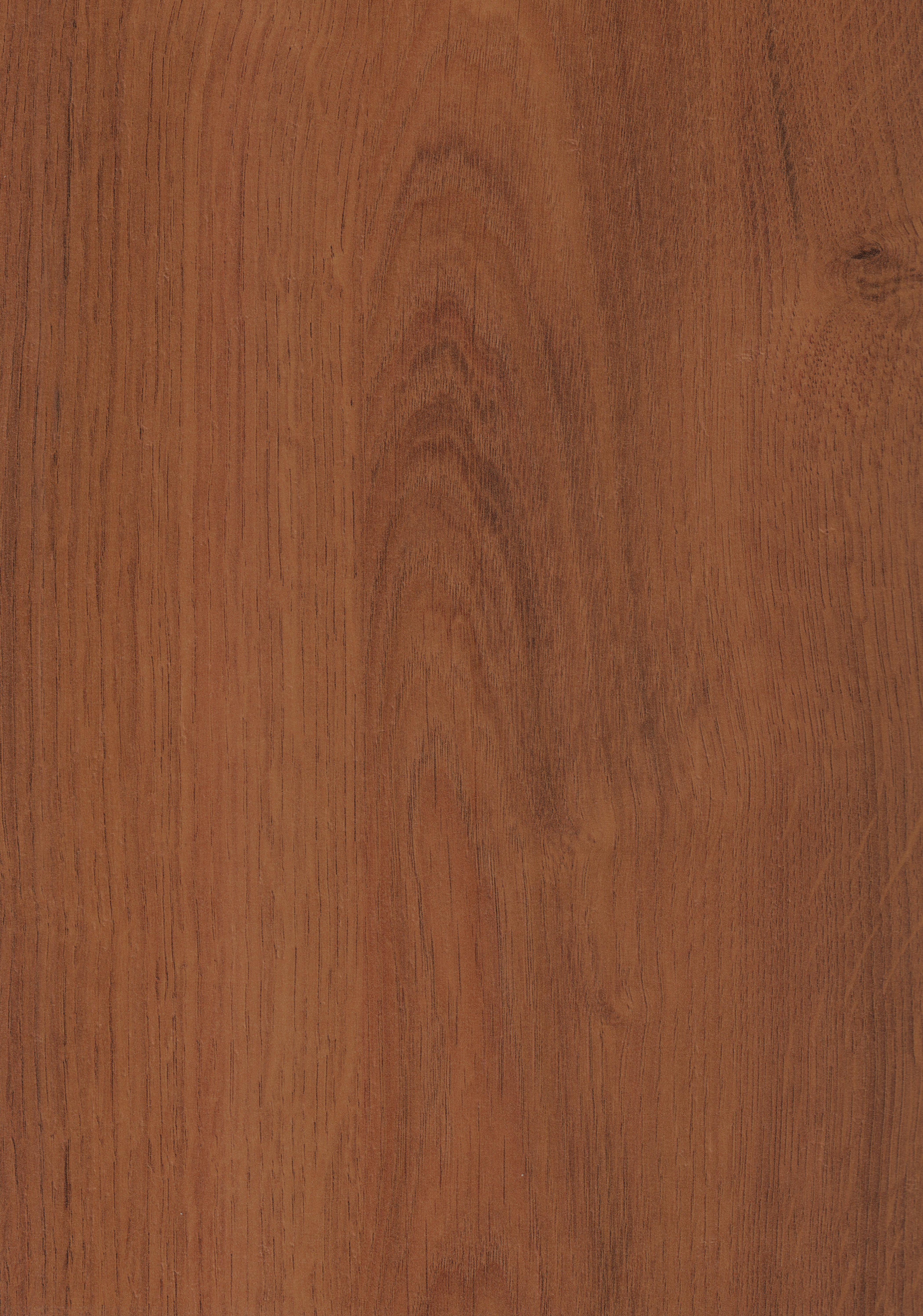 Wooden Look BW 539 Bark Wooden 8 ft x 4 ft Texture Finish Decorative Laminate - 1 mm | Suitable for TV Unit, Wardrobe, Kitchen Cabinets