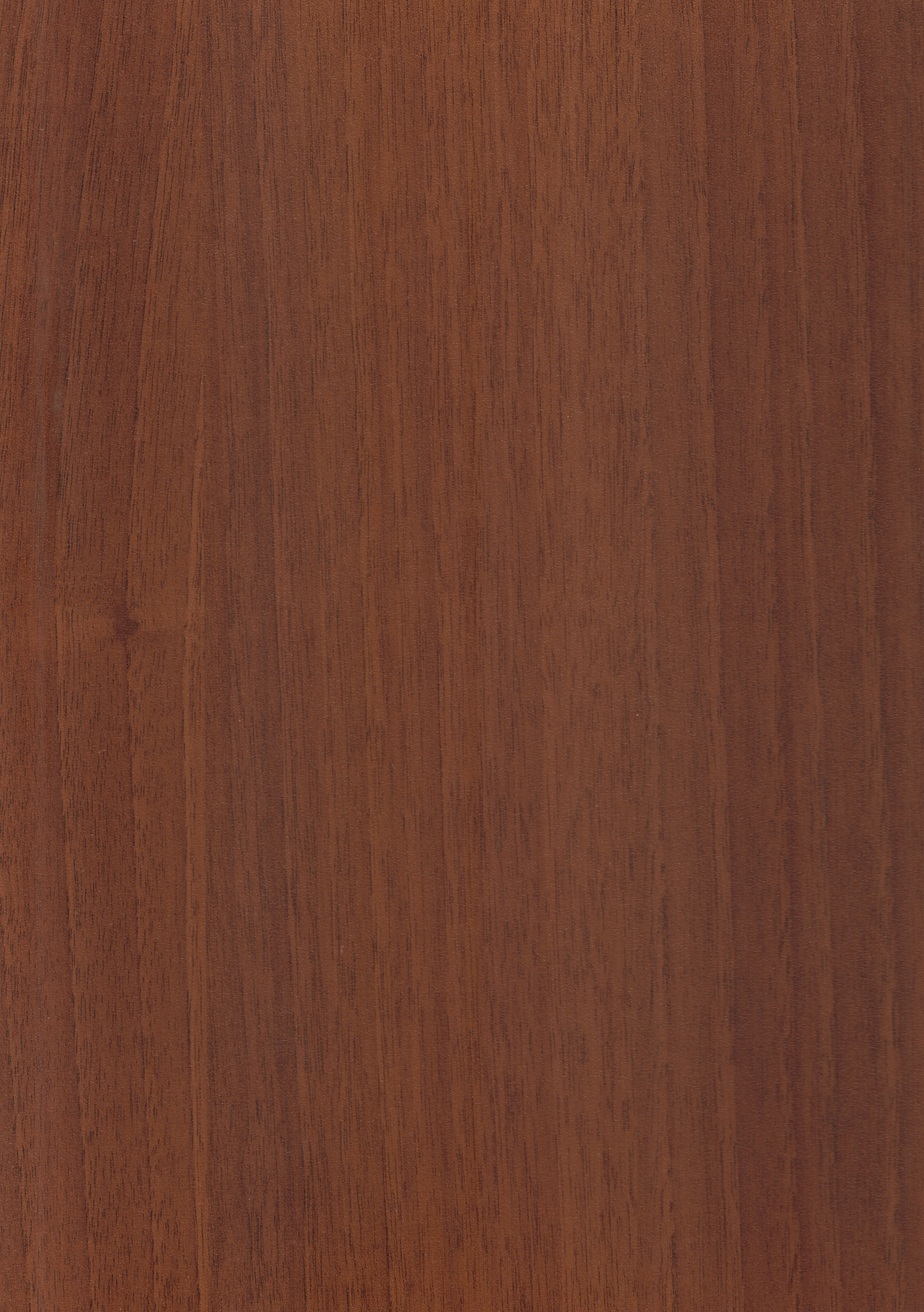 Wooden Look CF 440 8 ft x 4 ft Texture Finish Decorative Laminate - 1 mm | Suitable for TV Unit, Wardrobe, Kitchen Cabinets