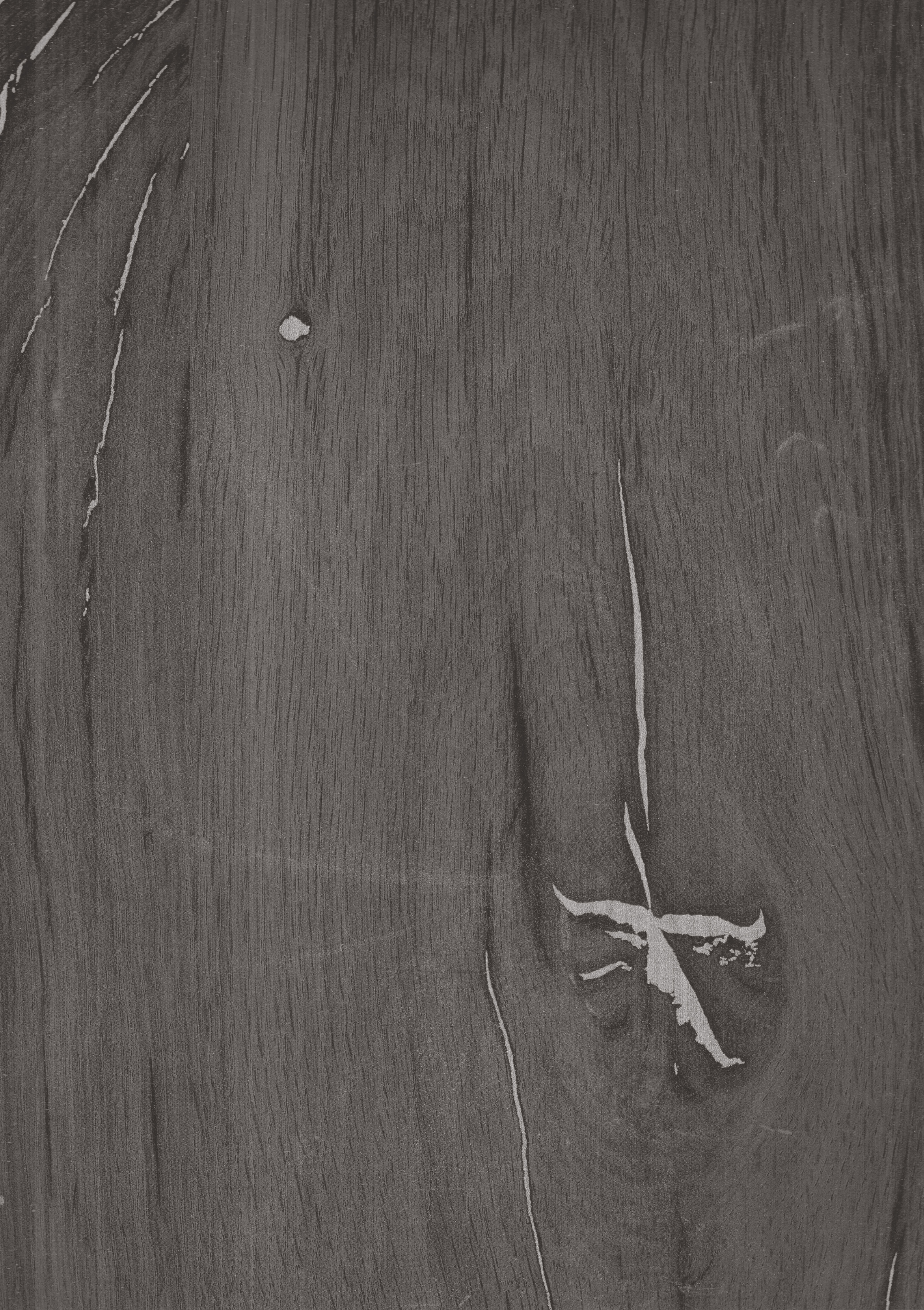 Wooden Look CRYSTAL 1262 8 ft x 4 ft High Gloss Finish Decorative Laminate - 1.25 mm | Suitable for TV Unit, Wardrobe, Kitchen Cabinets