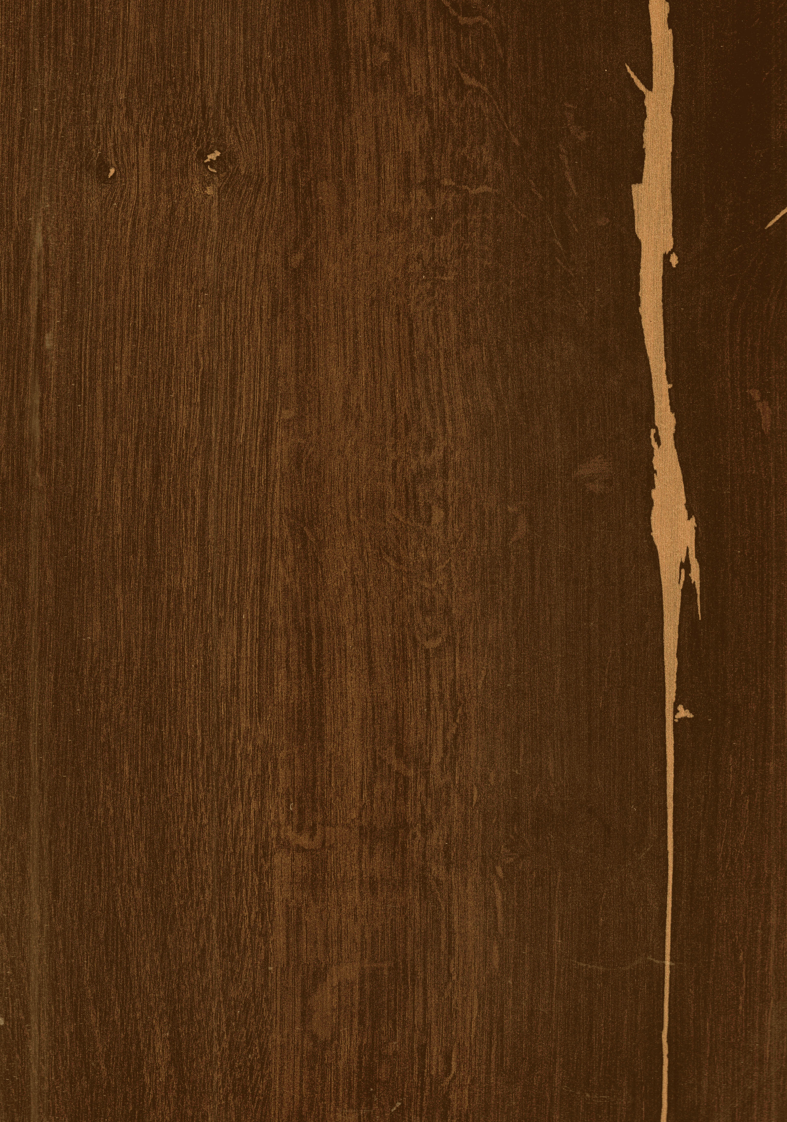 Wooden Look CRYSTAL 1263 8 ft x 4 ft High Gloss Finish Decorative Laminate - 1.25 mm | Suitable for TV Unit, Wardrobe, Kitchen Cabinets