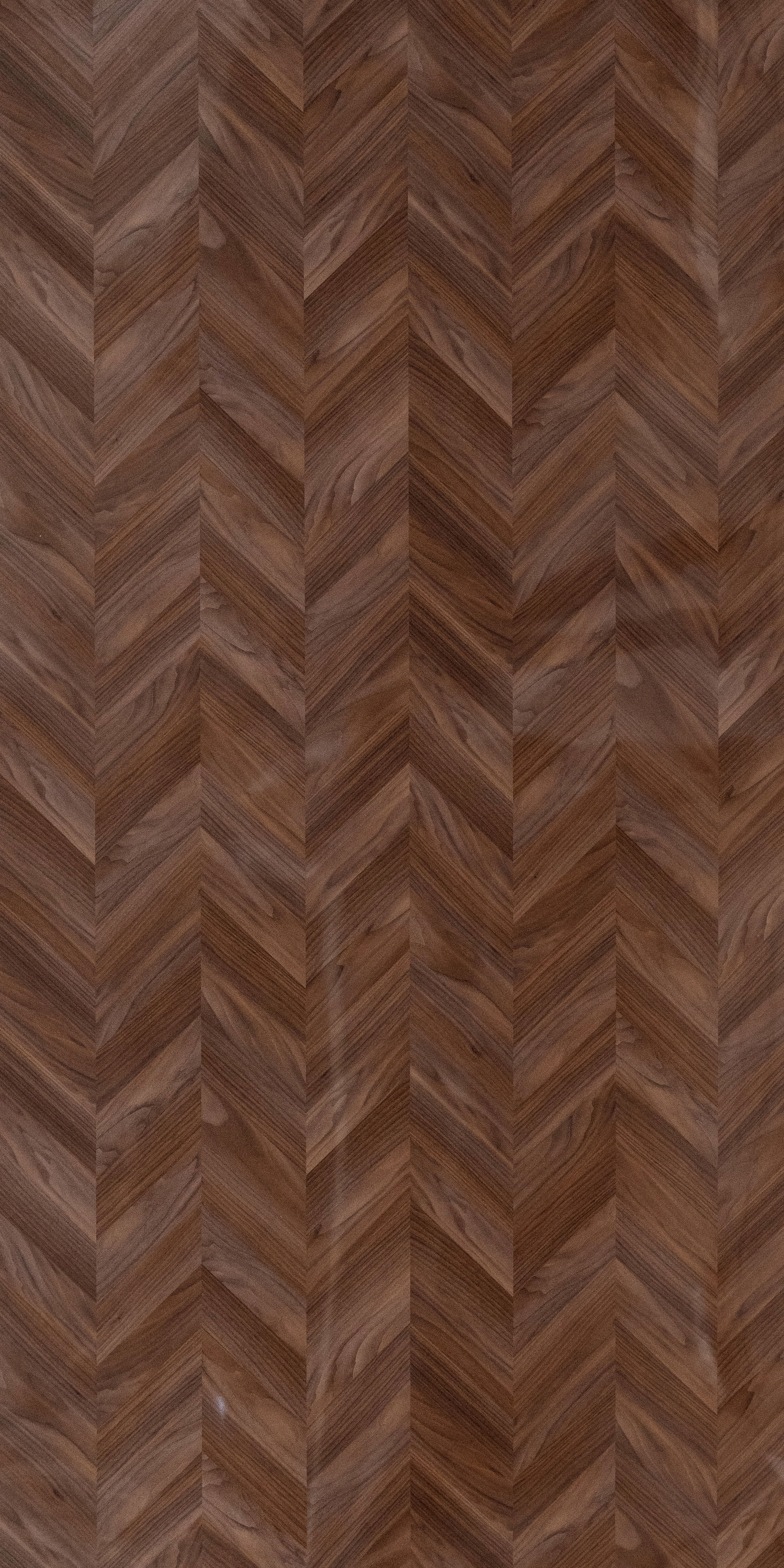 Wooden Look Crystal 1279 8 ft x 4 ft High Gloss Finish Decorative Laminate - 1.25 mm | Suitable for TV Unit, Wardrobe, Kitchen Cabinets