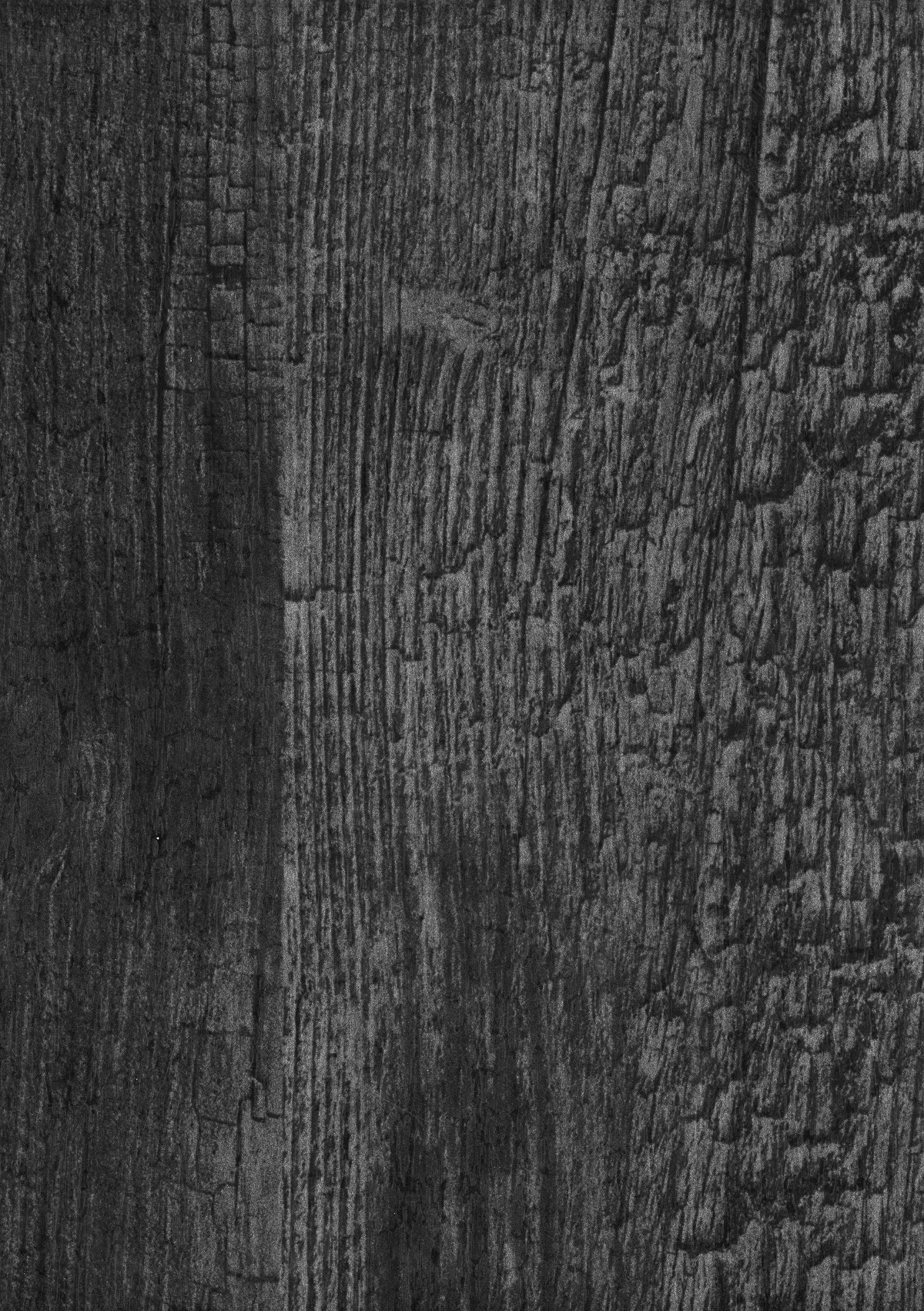 Stone Look Crystal Z+ BR 1212 Barrier Reef 8 ft x 4 ft Texture Finish Decorative Laminate - 1.25 mm | Suitable for TV Unit, Wardrobe, Kitchen Cabinets