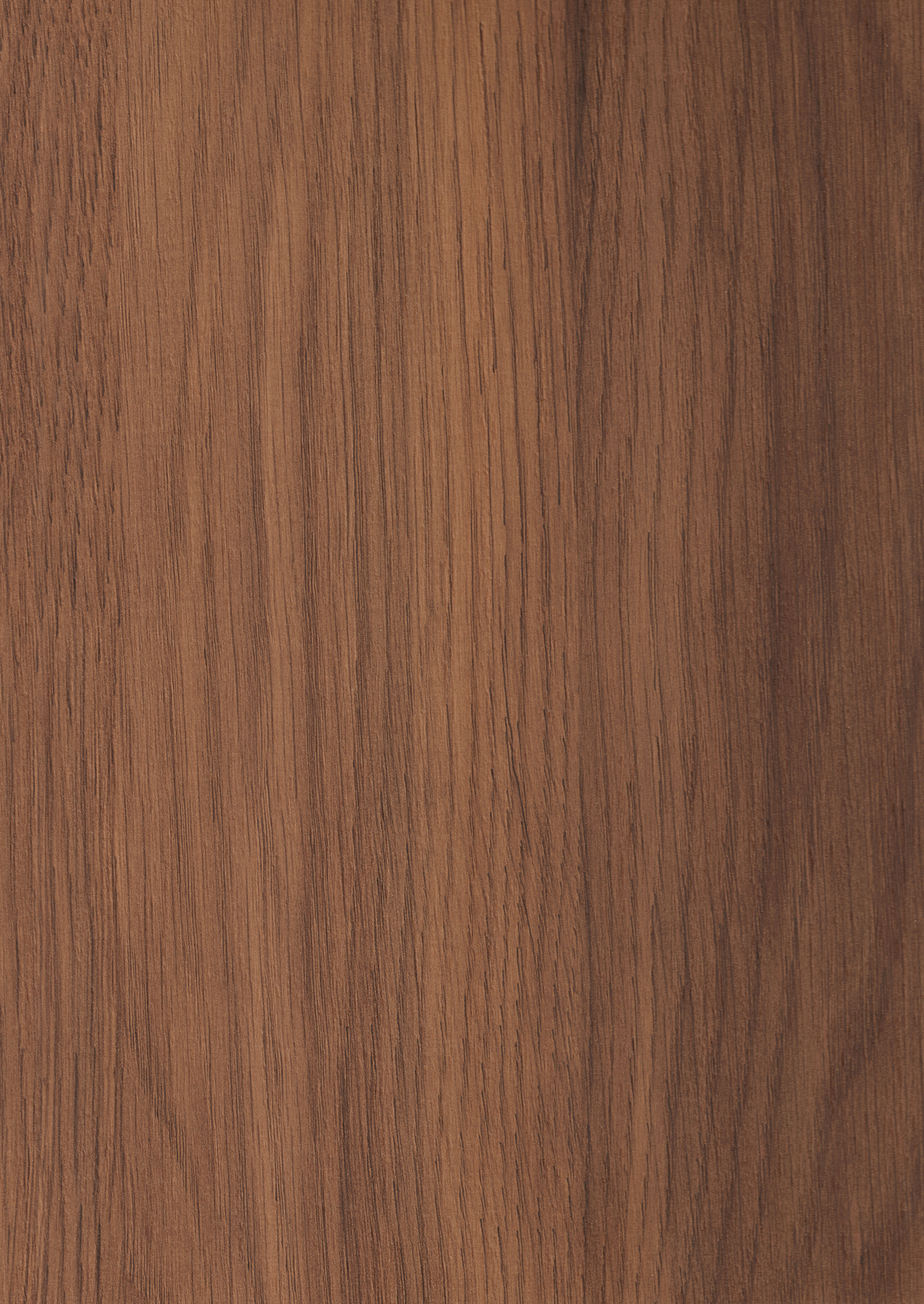 Wooden Look FM 1714 Fountain Mist 8 ft x 4 ft Texture Finish Decorative Laminate - 1.25 mm | Suitable for TV Unit, Wardrobe, Kitchen Cabinets