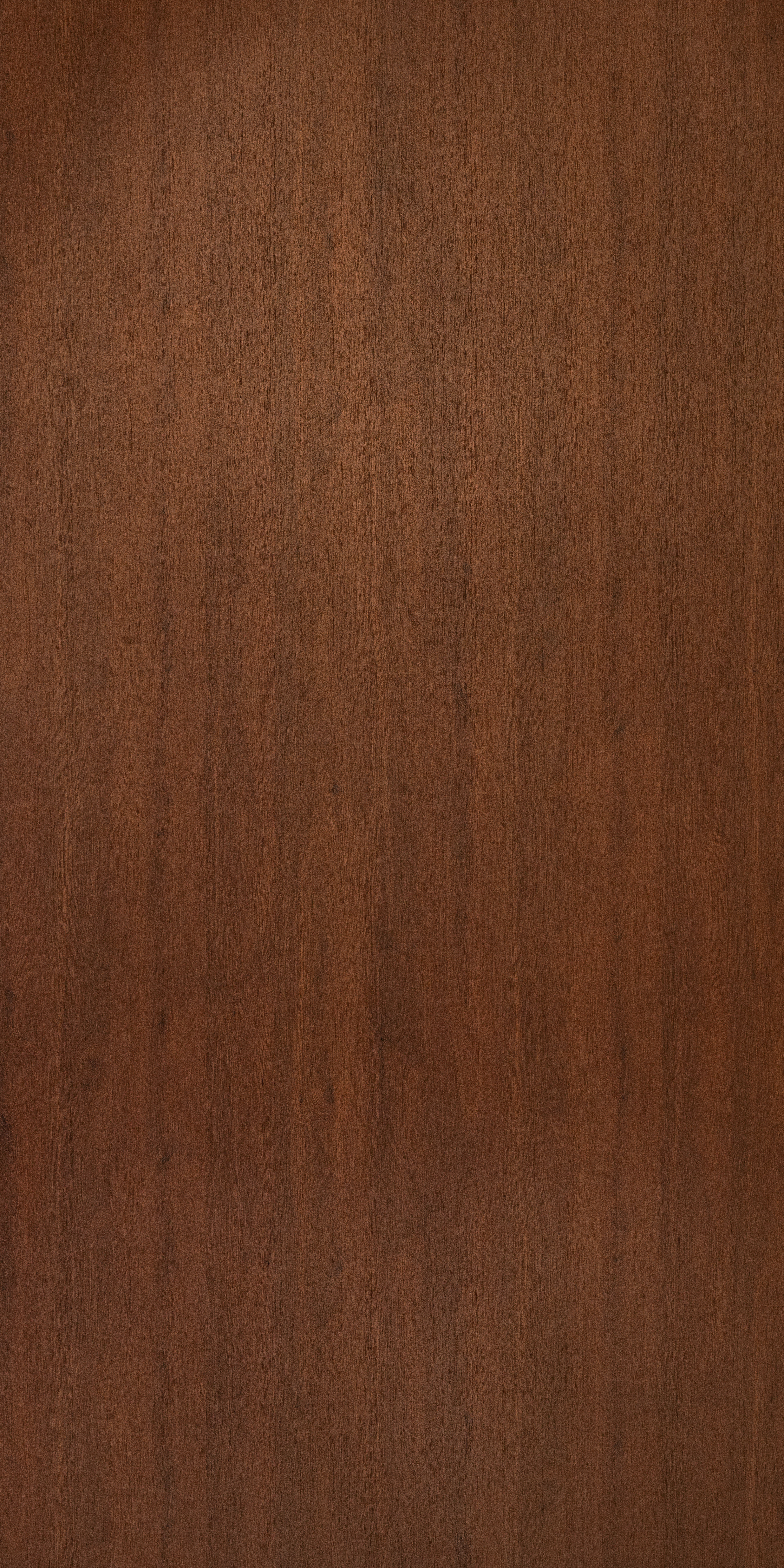 Wooden Look FM 1727 Fountain Mist 8 ft x 4 ft Texture Finish Decorative Laminate - 1.25 mm | Suitable for TV Unit, Wardrobe, Kitchen Cabinets