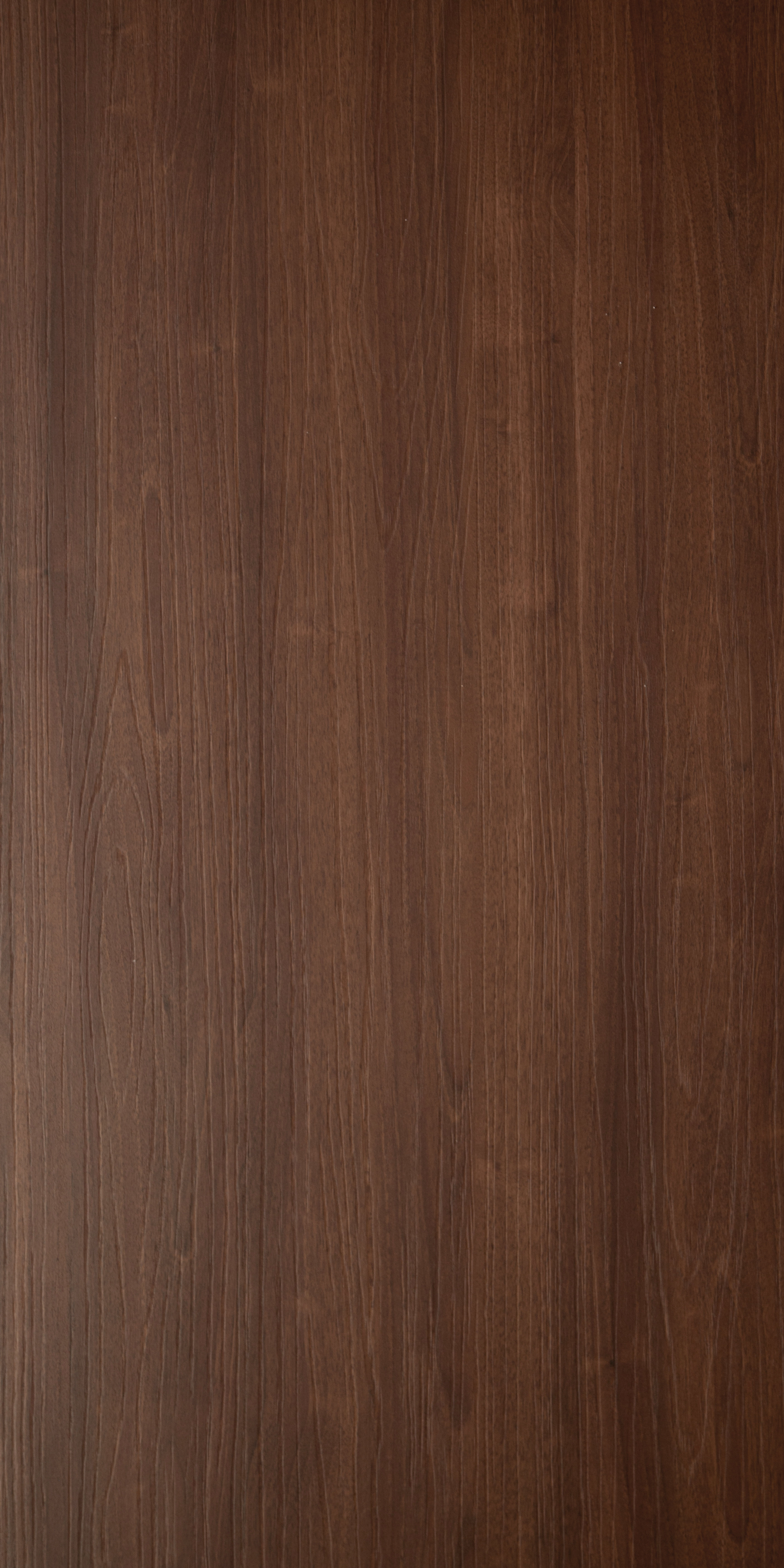 Wooden Look FO 1686 Fennel Oak 8 ft x 4 ft Texture Finish Decorative Laminate - 1.25 mm | Suitable for TV Unit, Wardrobe, Kitchen Cabinets