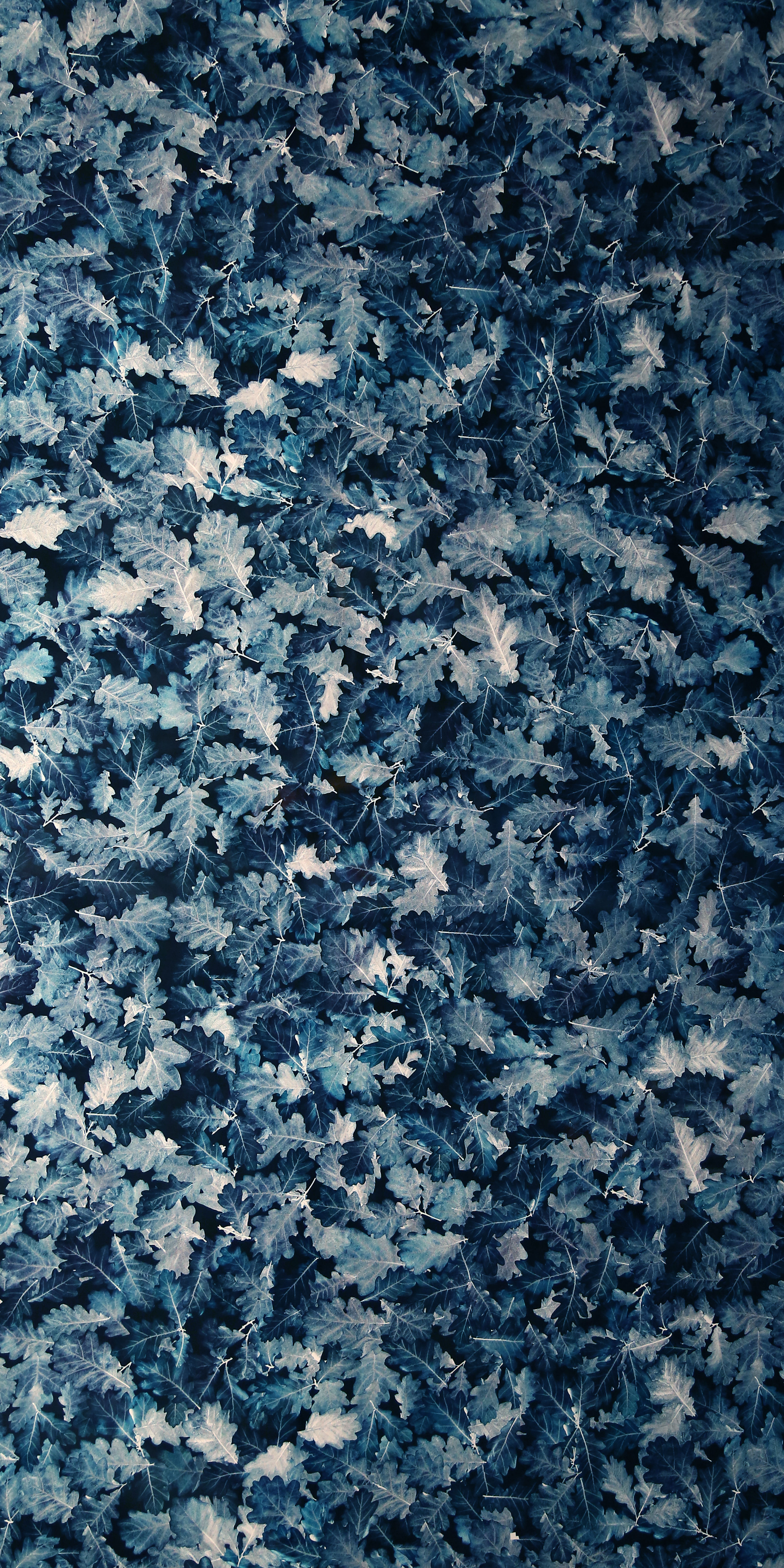 Multi Colour Digital Look HD 7024 8 ft x 4 ft Texture Finish Decorative Laminate - 1.25 mm | Suitable for TV Unit, Wardrobe, Kitchen Cabinets
