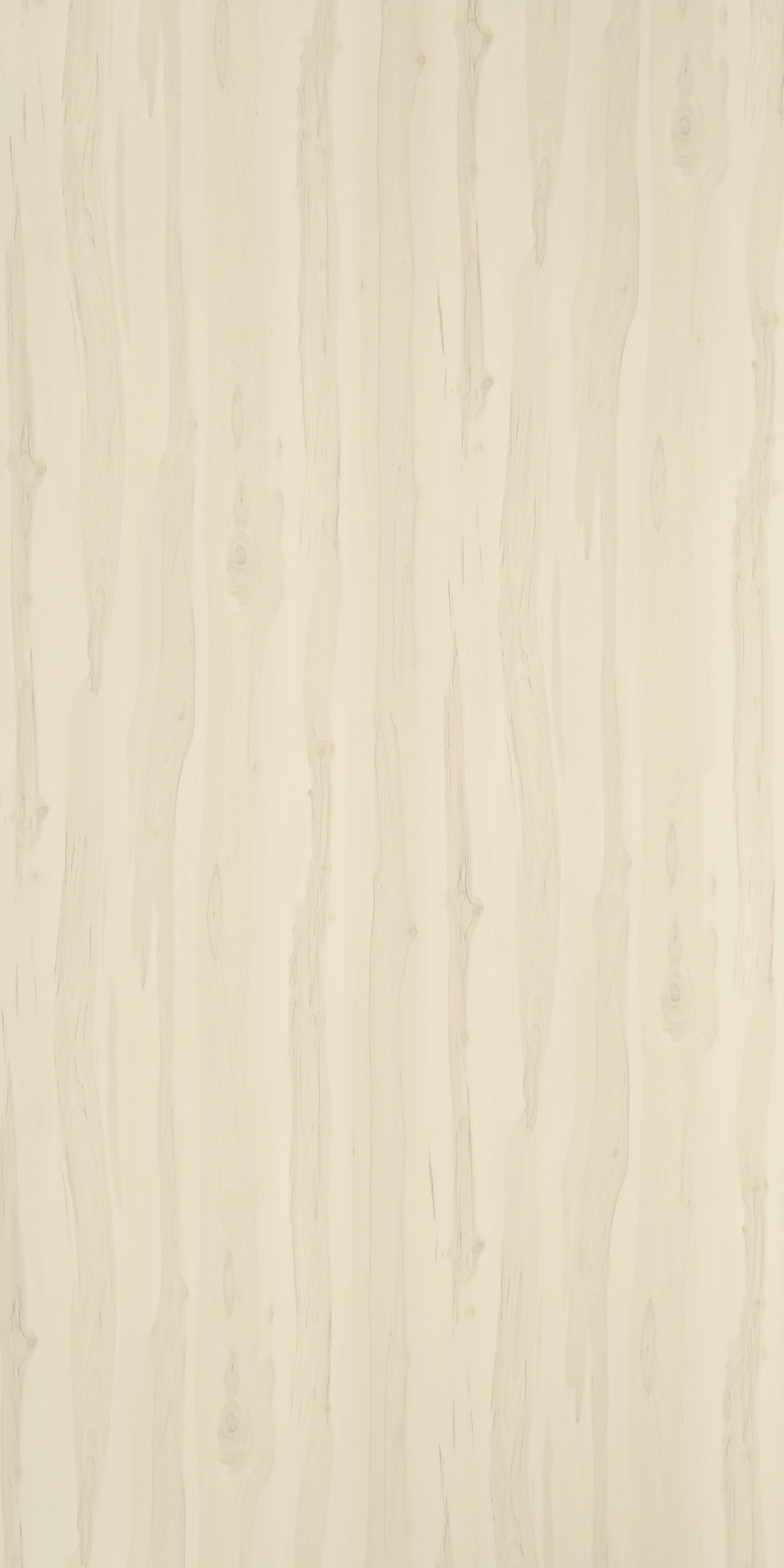 Wooden Look LS 1413 Lush 8 ft x 4 ft Texture Finish Decorative Laminate - 1.25 mm | Suitable for TV Unit, Wardrobe, Kitchen Cabinets