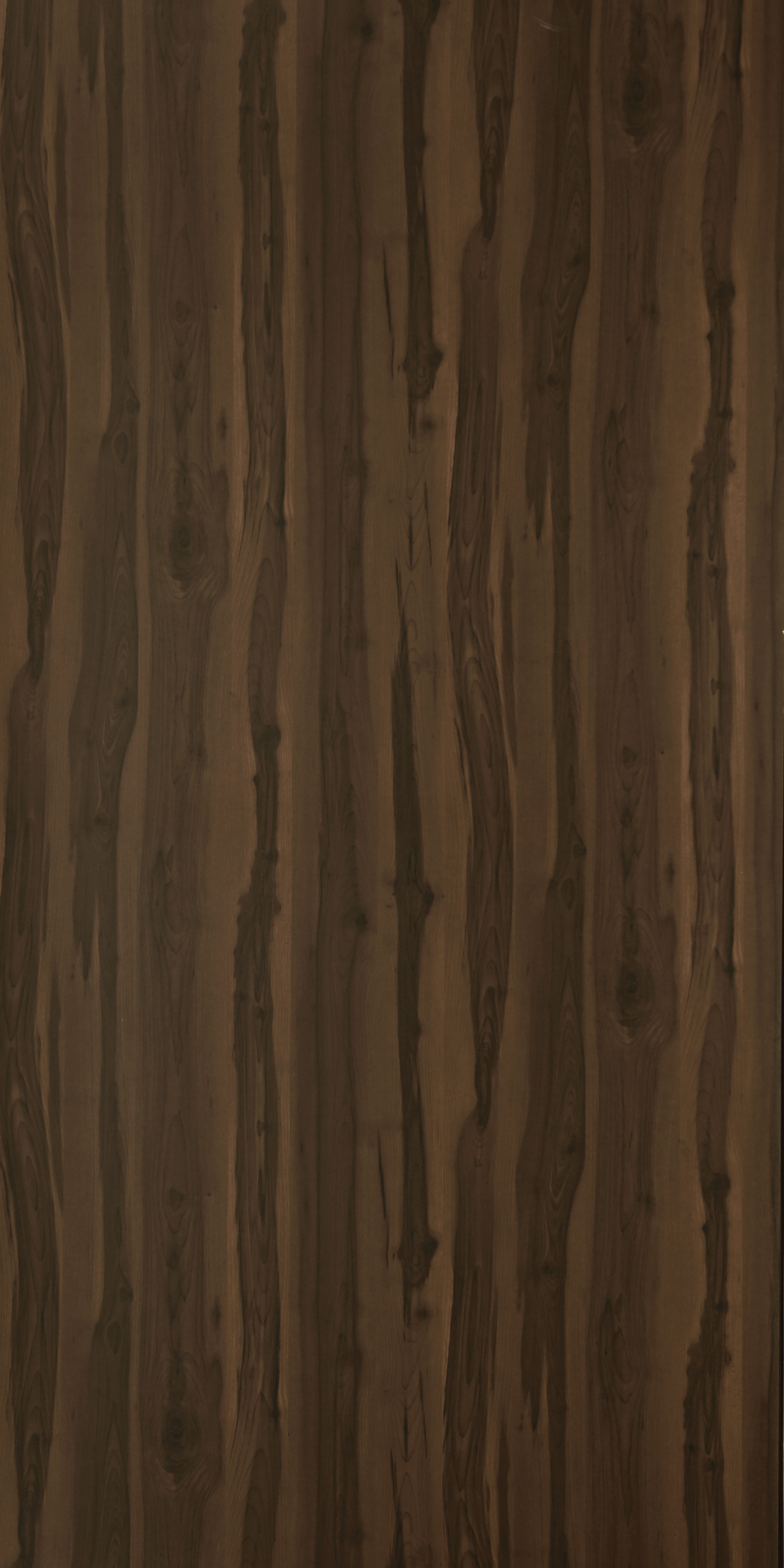 Brown Wood Look LS 1414 Lush 8 ft x 4 ft Texture Finish Decorative Laminate - 1.25 mm | Suitable for TV Unit, Wardrobe, Kitchen Cabinets