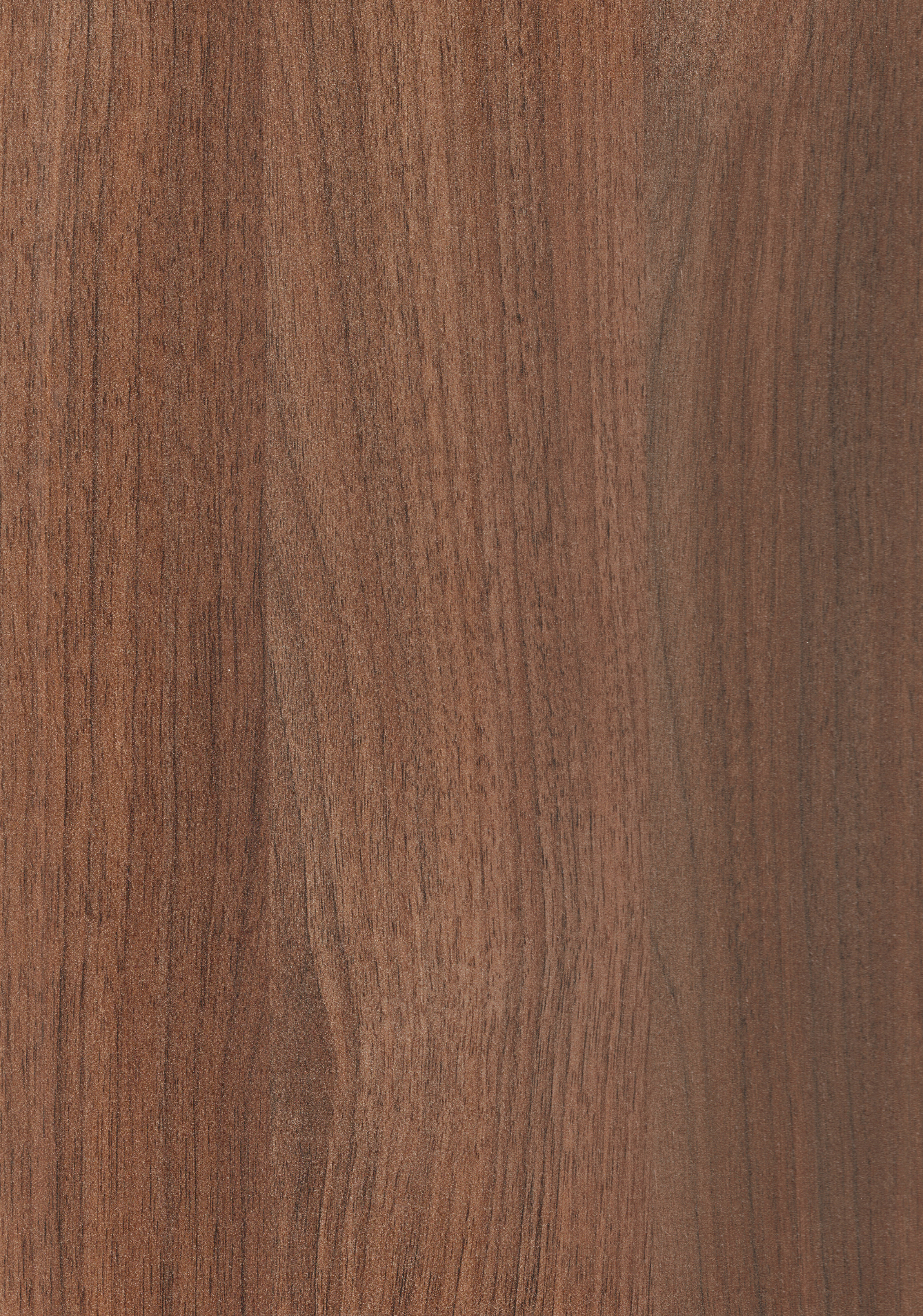 Wooden Look MM 1703 Monsoon Mood 8 ft x 4 ft Texture Finish Decorative Laminate - 1.25 mm | Suitable for TV Unit, Wardrobe, Kitchen Cabinets