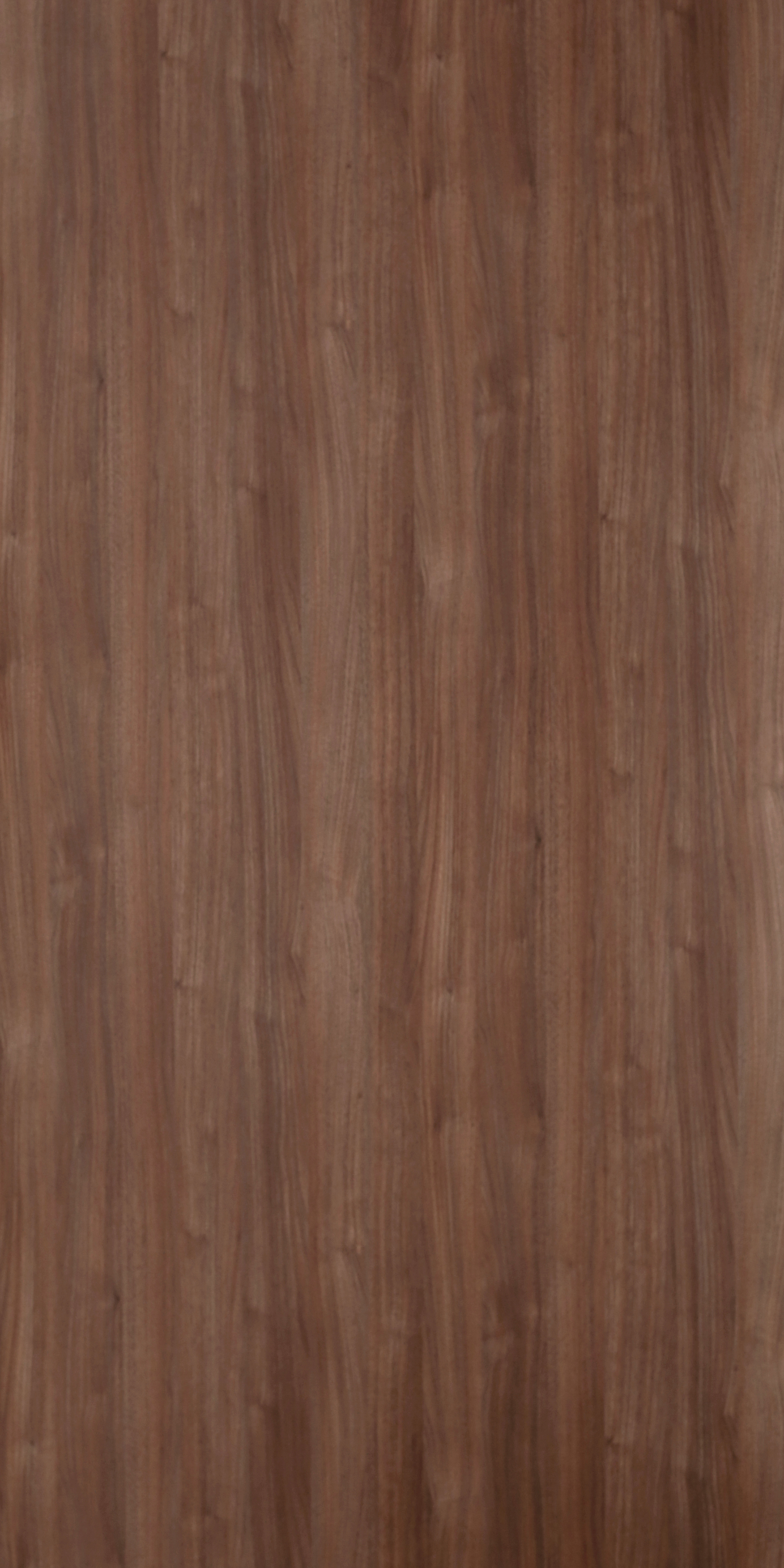 Wooden Look MM 1703 Monsoon Mood 8 ft x 4 ft Texture Finish Decorative Laminate - 1.25 mm | Suitable for TV Unit, Wardrobe, Kitchen Cabinets