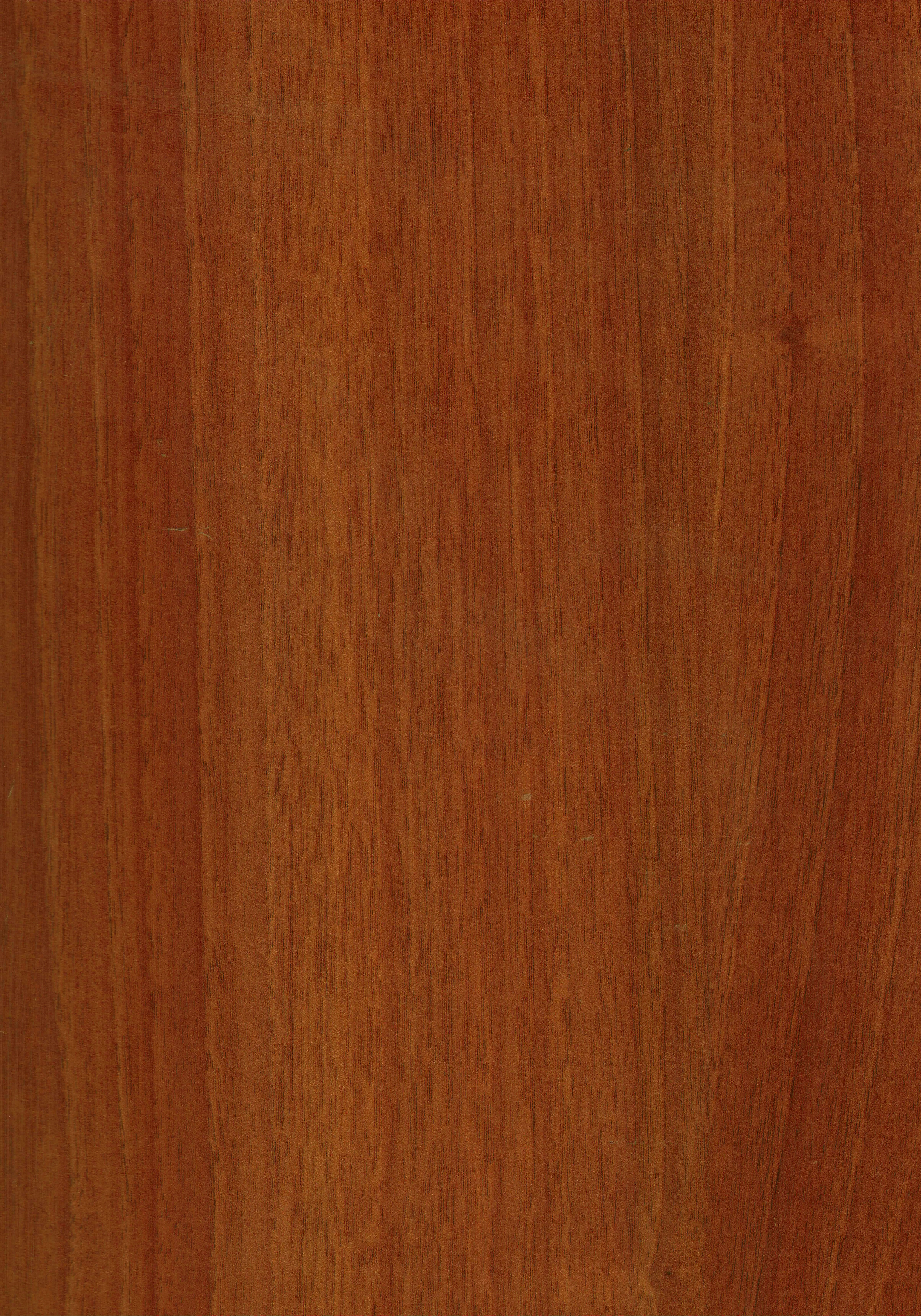 Wooden Look PU 440 8 ft x 4 ft High Gloss Finish Decorative Laminate - 1 mm | Suitable for TV Unit, Wardrobe, Kitchen Cabinets
