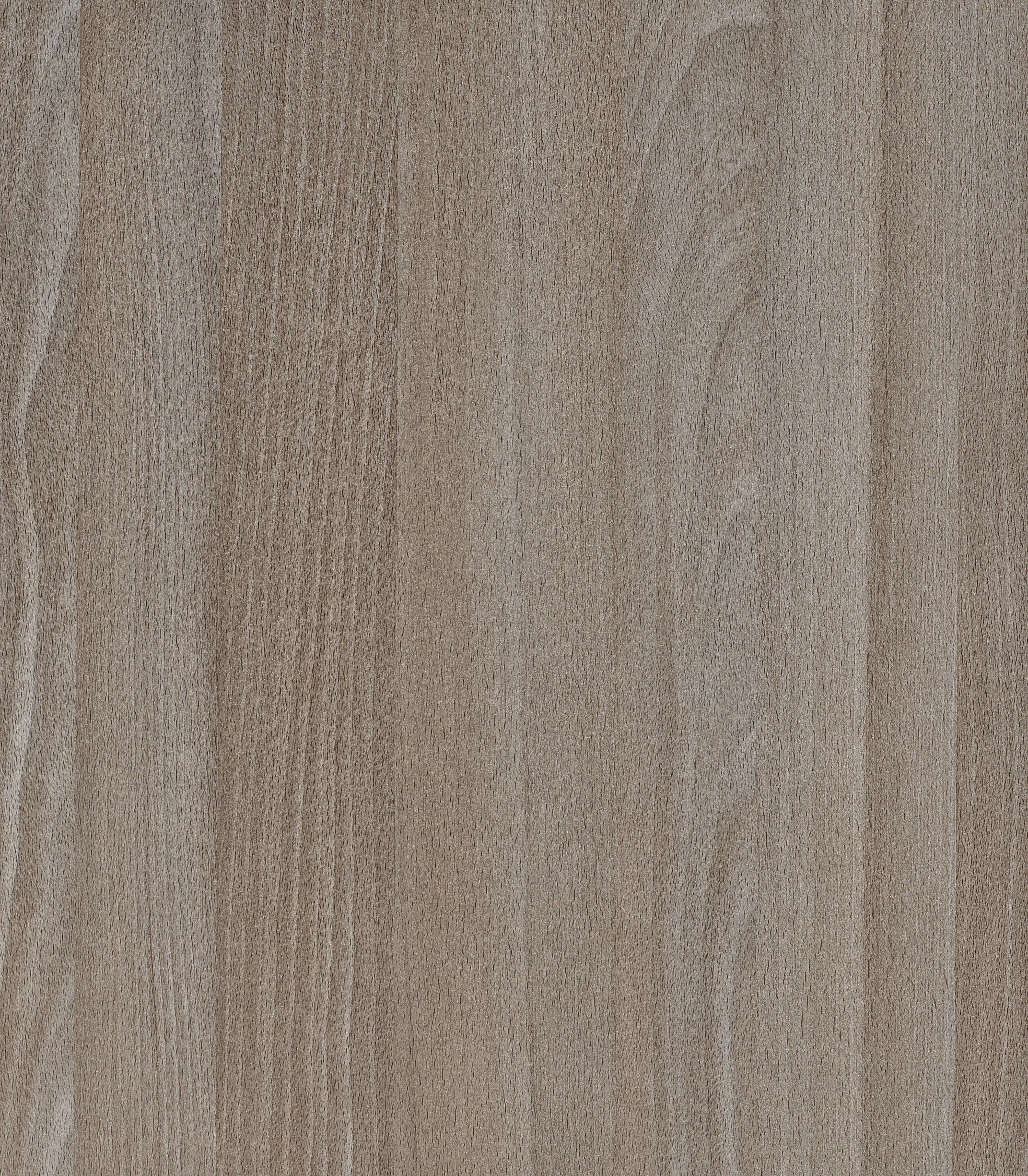 Wooden Look SB 1549 Spring Blossom 8 ft x 4 ft Texture Finish Decorative Laminate - 1.25 mm | Suitable for TV Unit, Wardrobe, Kitchen Cabinets