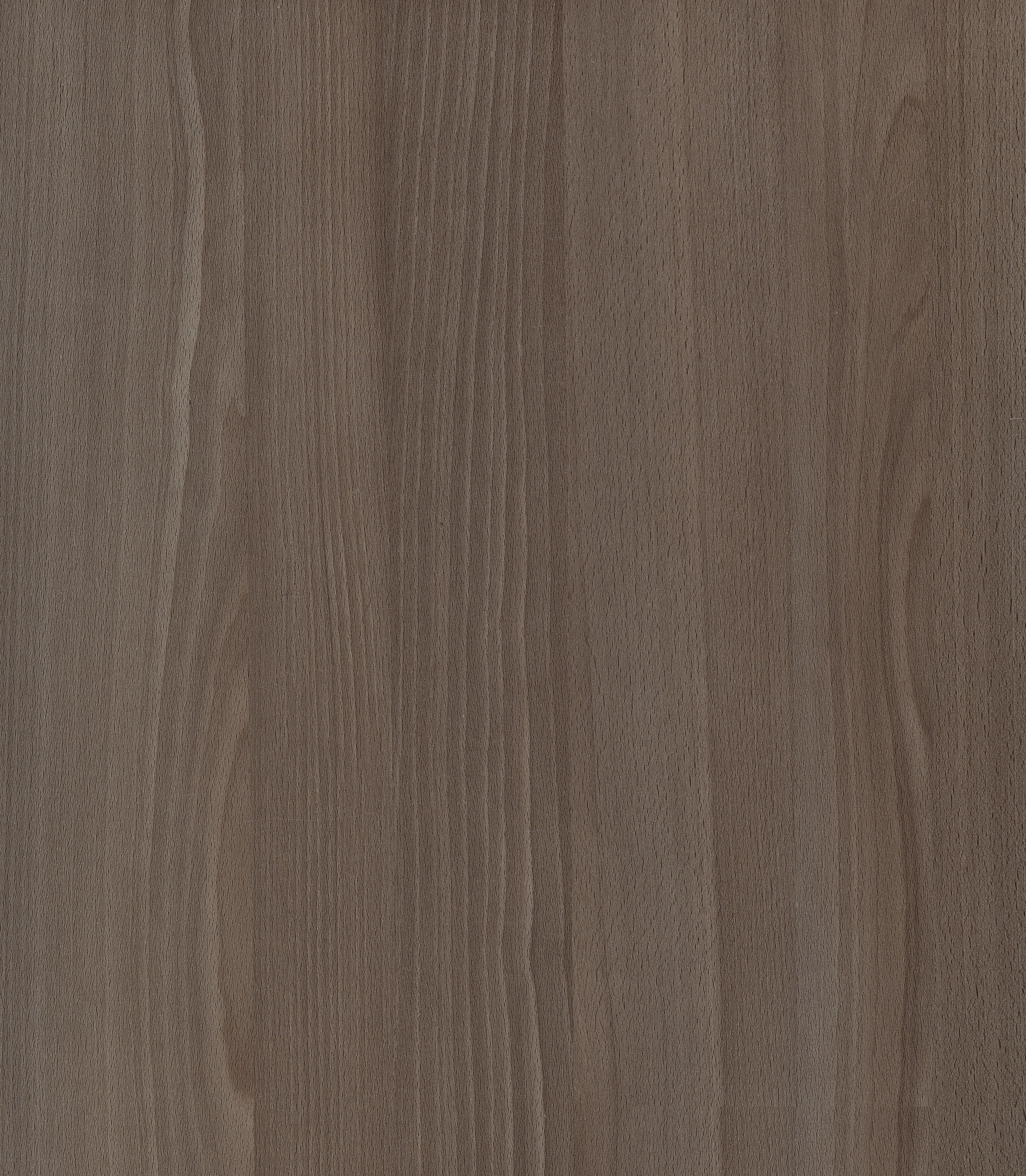 Wooden Look SB 1550 Spring Blossom 8 ft x 4 ft Texture Finish Decorative Laminate - 1.25 mm | Suitable for TV Unit, Wardrobe, Kitchen Cabinets