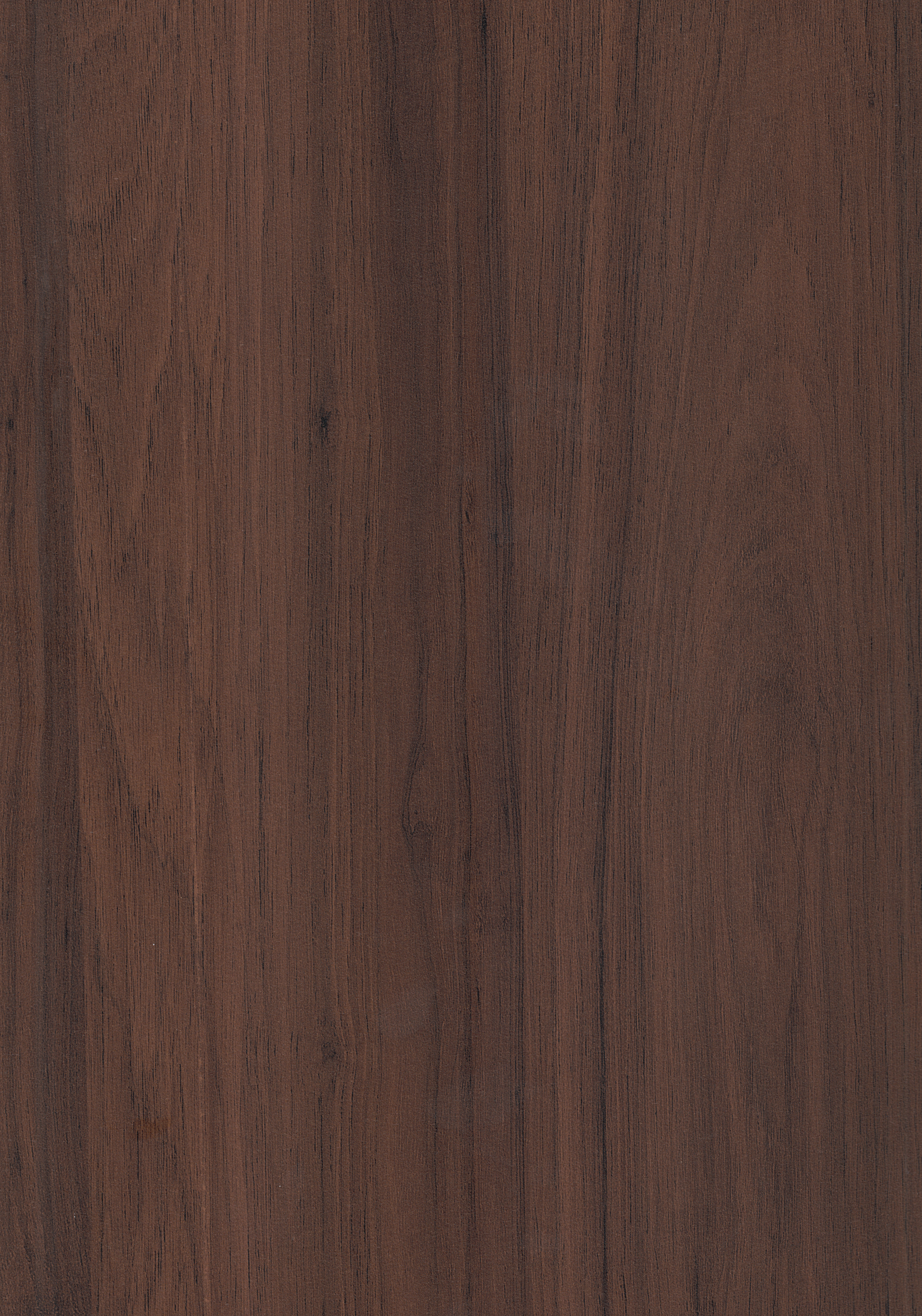 Wooden Look SF 499 8 ft x 4 ft Texture Finish Decorative Laminate - 1 mm | Suitable for TV Unit, Wardrobe, Kitchen Cabinets