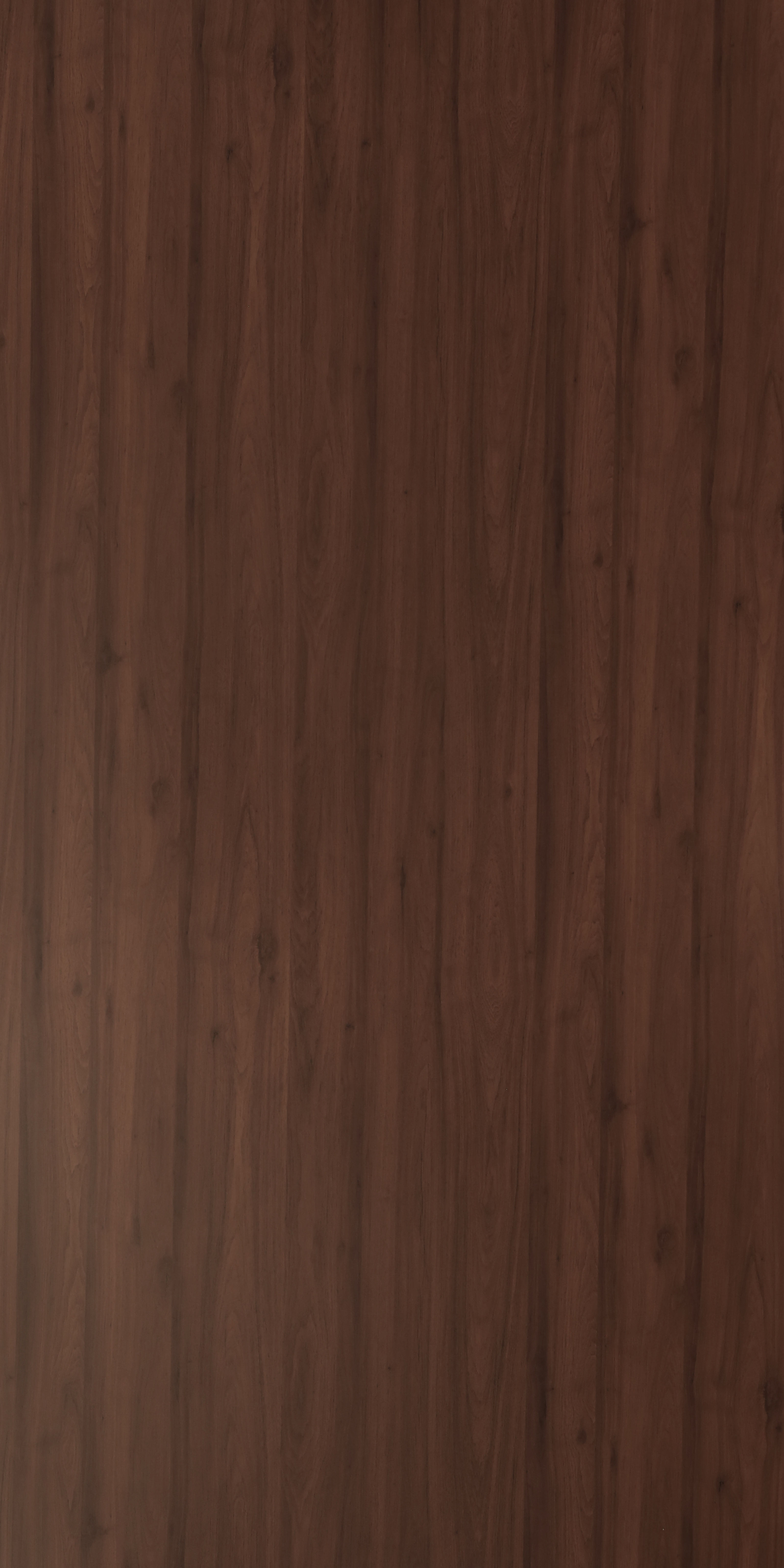 Wooden Look SF 499 8 ft x 4 ft Texture Finish Decorative Laminate - 1 mm | Suitable for TV Unit, Wardrobe, Kitchen Cabinets