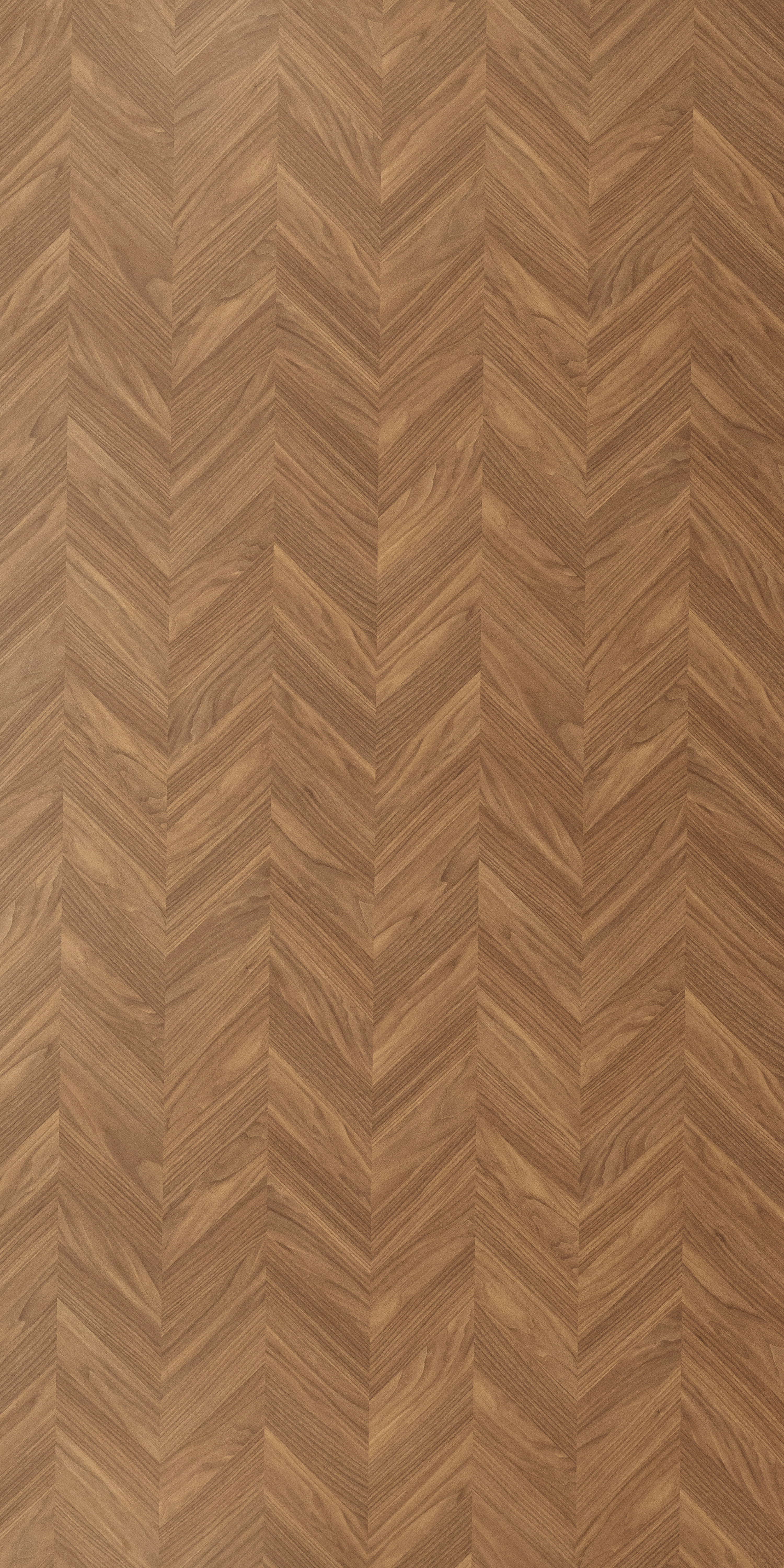 Wooden Look SM 1740 8 ft x 4 ft Super Matte Finish Decorative Laminate - 1.25 mm | Suitable for TV Unit, Wardrobe, Kitchen Cabinets