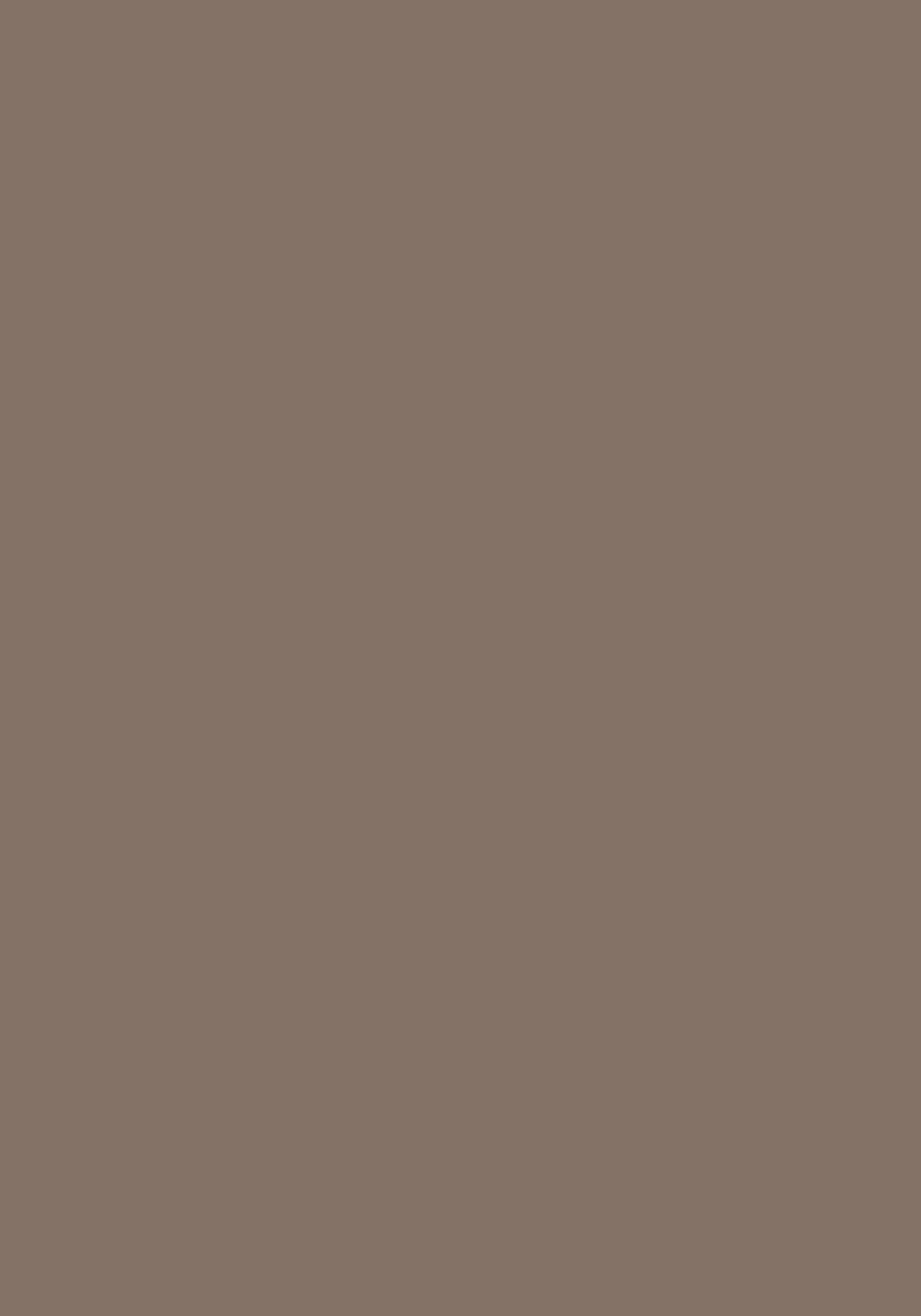 Brown Solid Colors Look SM 243 8 ft x 4 ft Super Matte Finish Decorative Laminate - 1 mm | Suitable for Living Room, Kitchen, Office