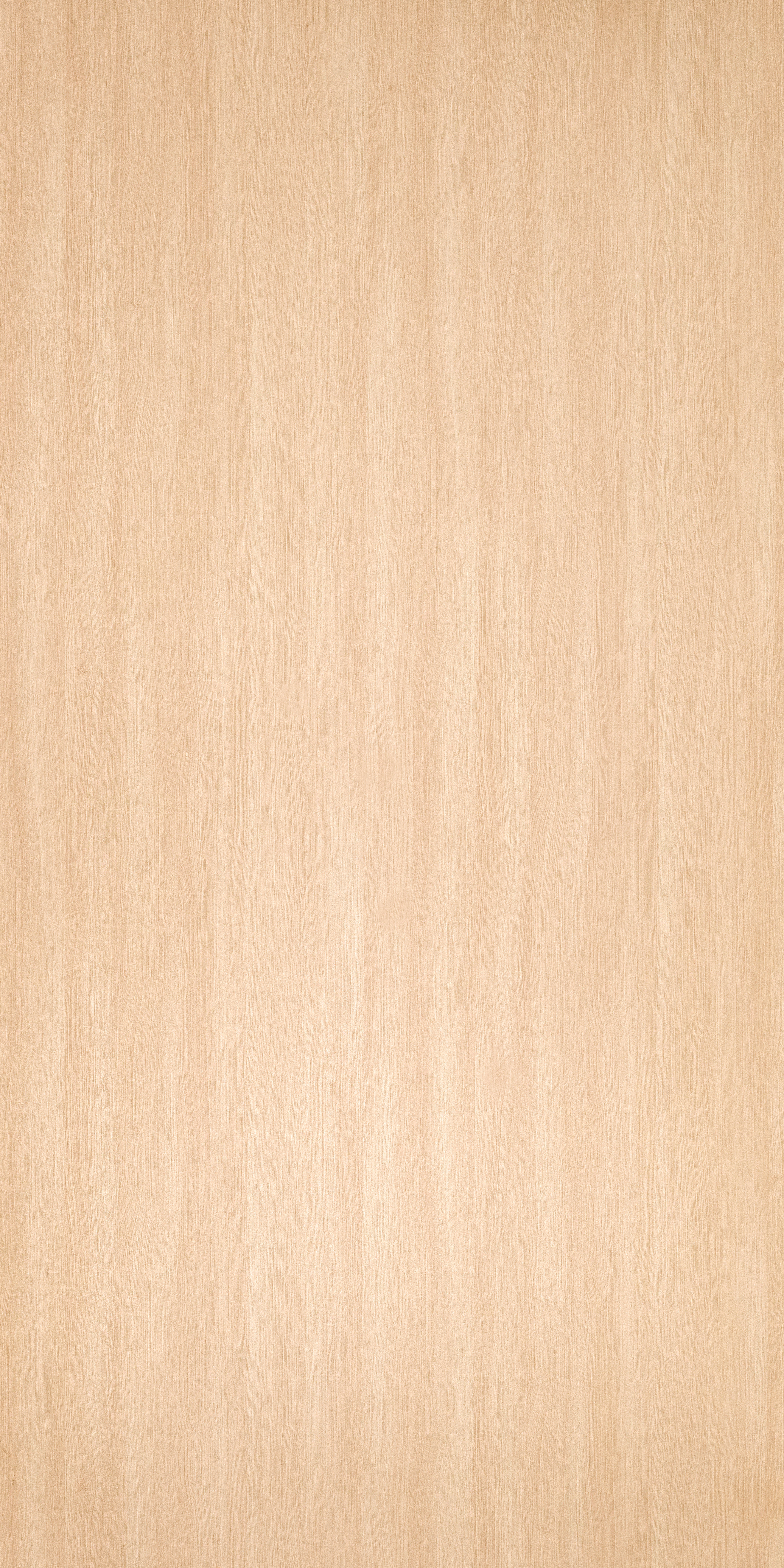 Wooden Look TO 553 Tasmania Oak 8 ft x 4 ft Texture Finish Decorative Laminate - 1 mm | Suitable for TV Unit, Wardrobe, Kitchen Cabinets
