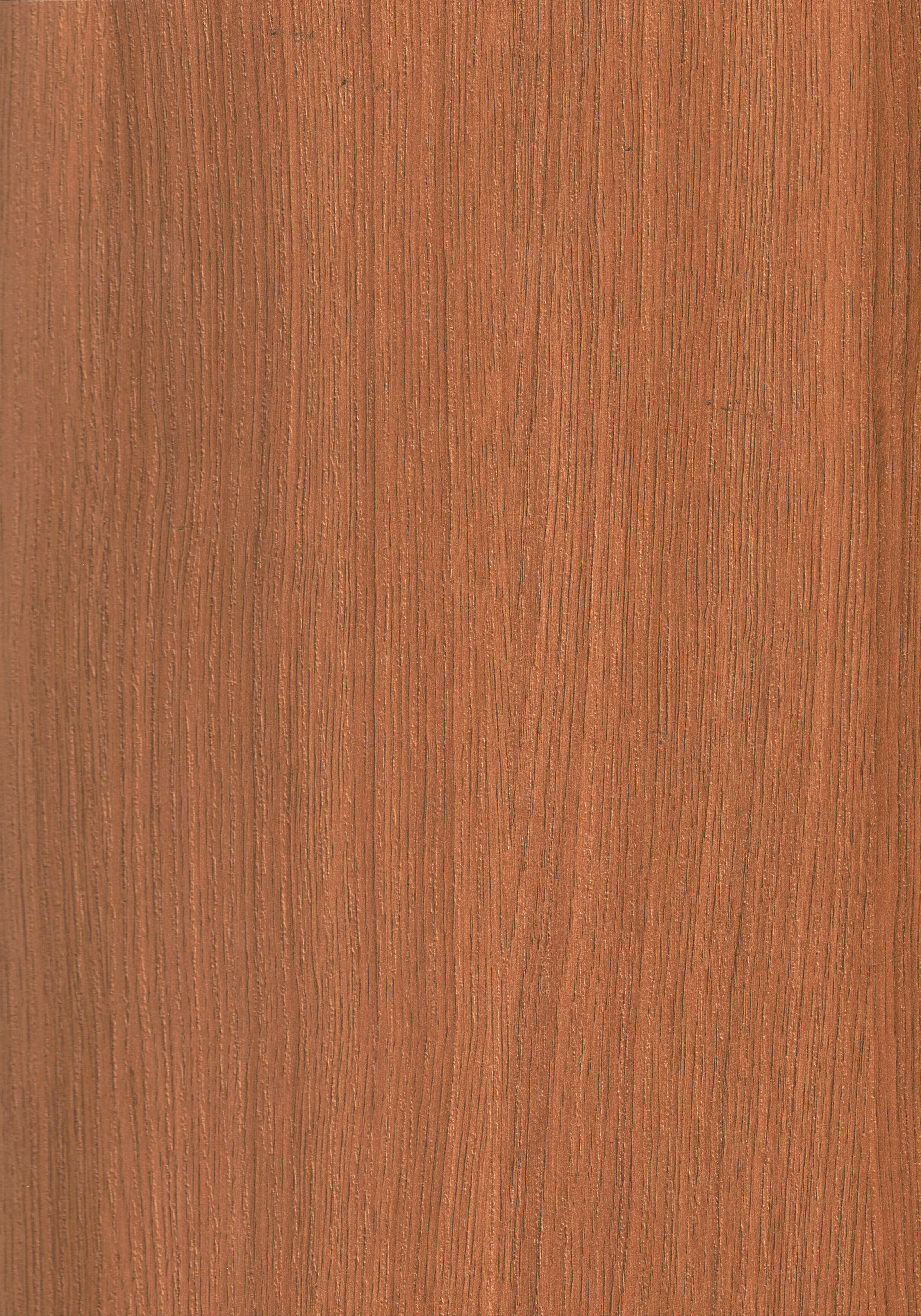 Wooden Look TO 554 Tasmania Oak 8 ft x 4 ft Texture Finish Decorative Laminate - 1 mm | Suitable for TV Unit, Wardrobe, Kitchen Cabinets