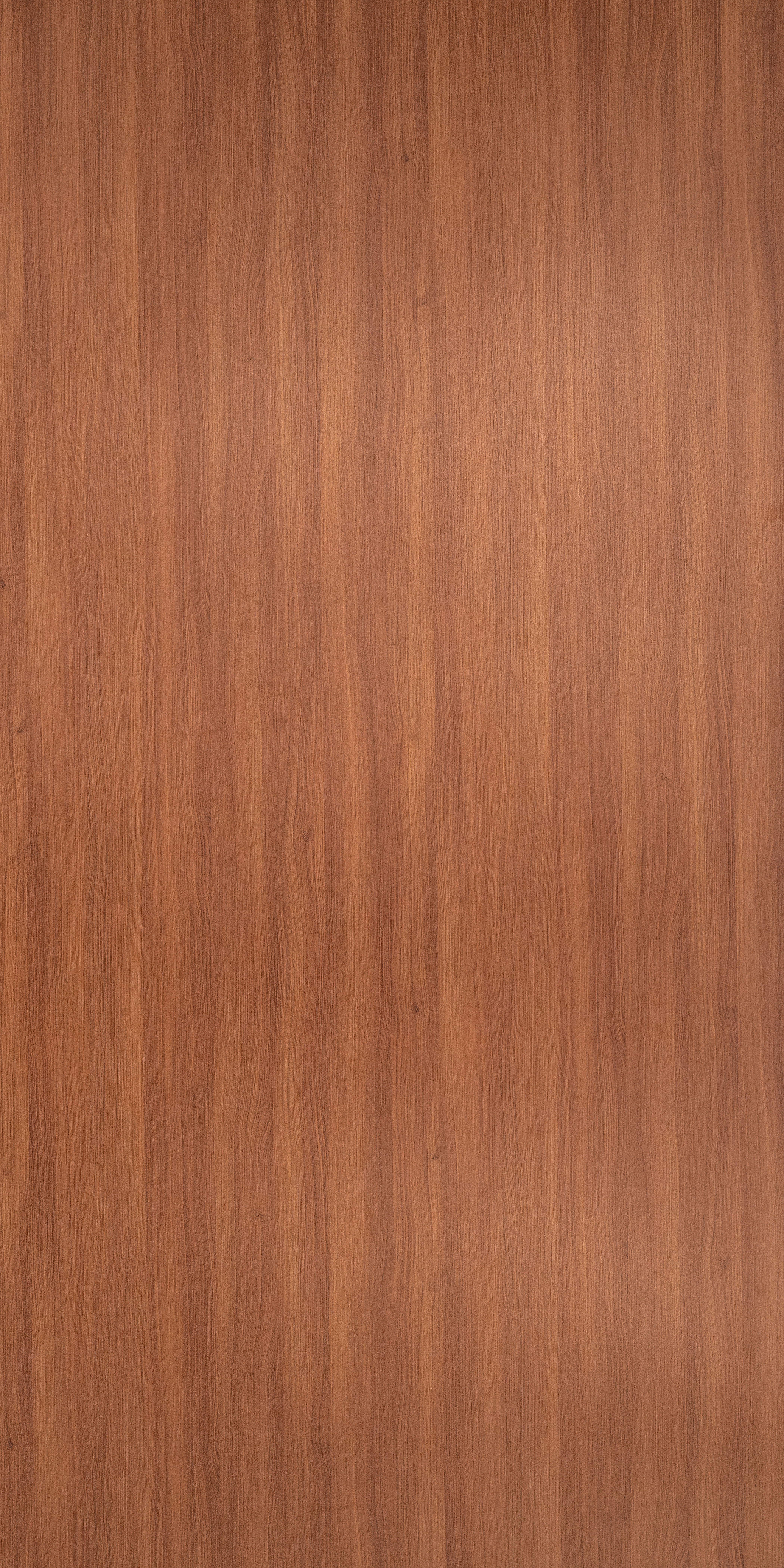 Wooden Look TO 554 Tasmania Oak 8 ft x 4 ft Texture Finish Decorative Laminate - 1 mm | Suitable for TV Unit, Wardrobe, Kitchen Cabinets