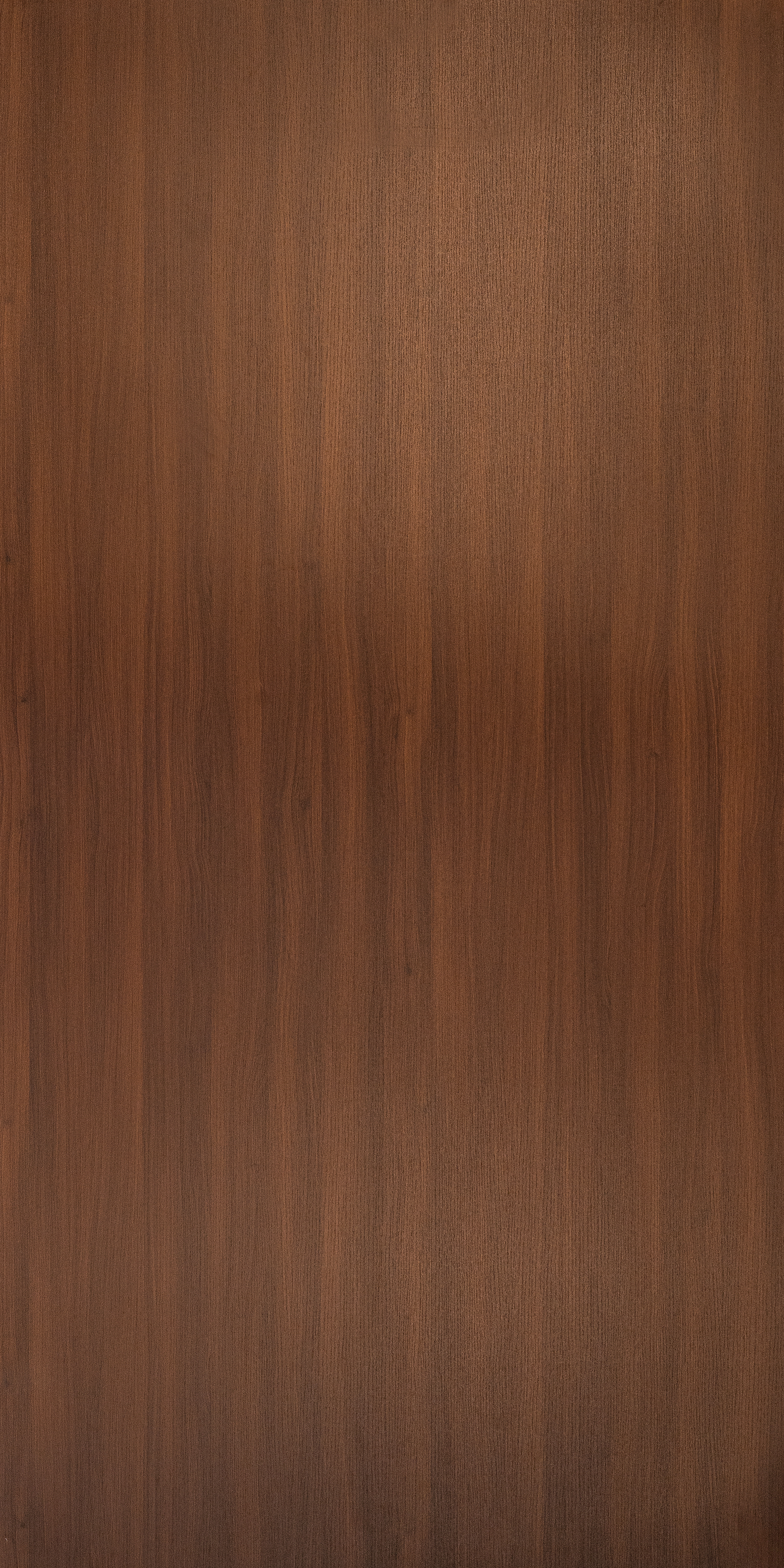 Wooden Look TO 555 Tasmania Oak 8 ft x 4 ft Texture Finish Decorative Laminate - 1 mm | Suitable for TV Unit, Wardrobe, Kitchen Cabinets