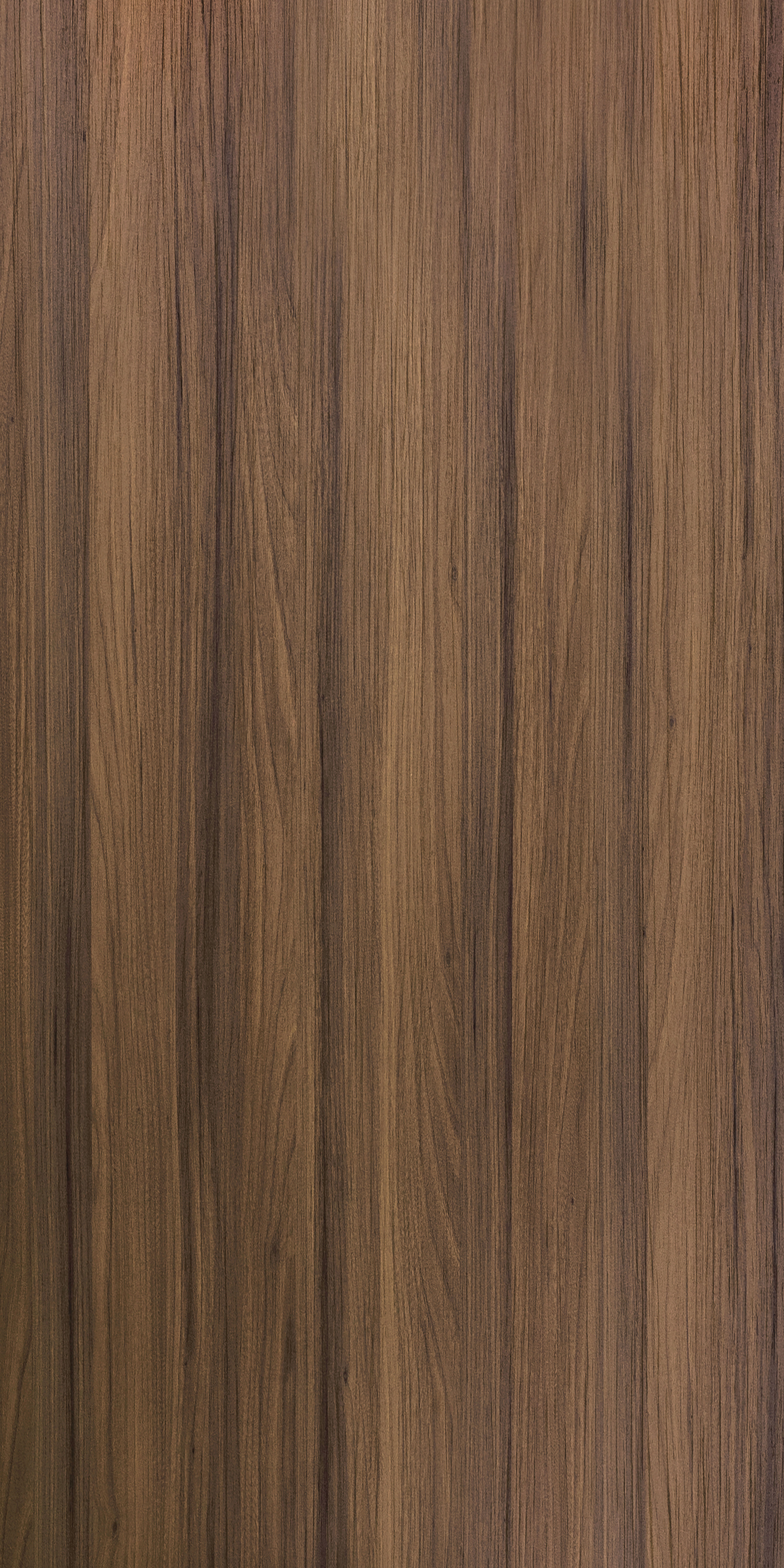 Wooden Look TV 1695 Turkish Veneer 8 ft x 4 ft Texture Finish Decorative Laminate - 1.25 mm | Suitable for TV Unit, Wardrobe, Kitchen Cabinets