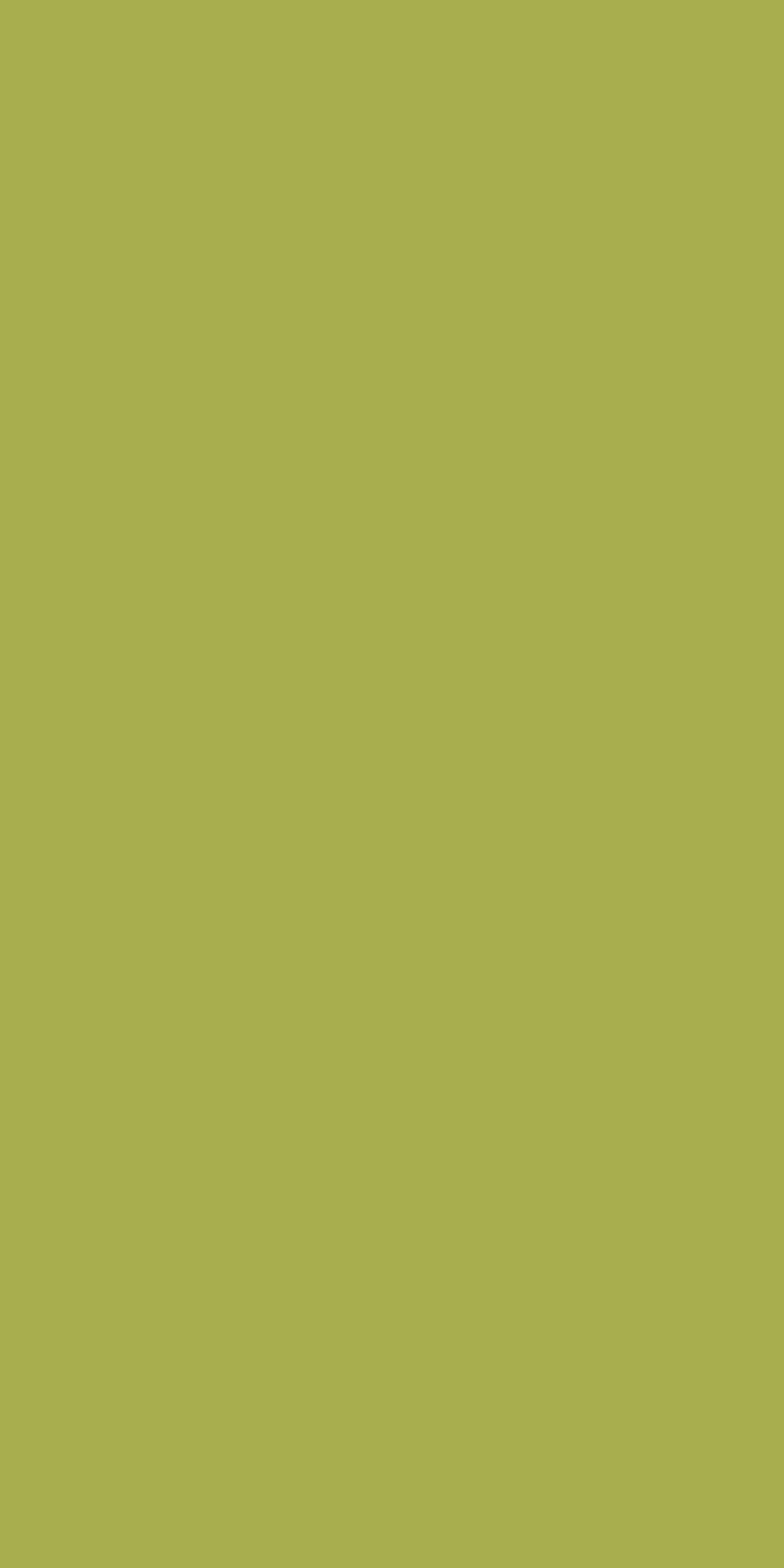 21163 Lime 8 ft x 4 ft Solid Colour Suede Finish Decorative Laminate - 1 mm | Suitable for Living Room, Kitchen, Office
