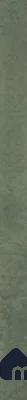 Subway Wall Tile TL 13455 F Olive Moss 20 inch x 2 inch Porcelain Shiny Finish | Suitable for Kitchen backsplash, Bathroom & Highlighter Wall
