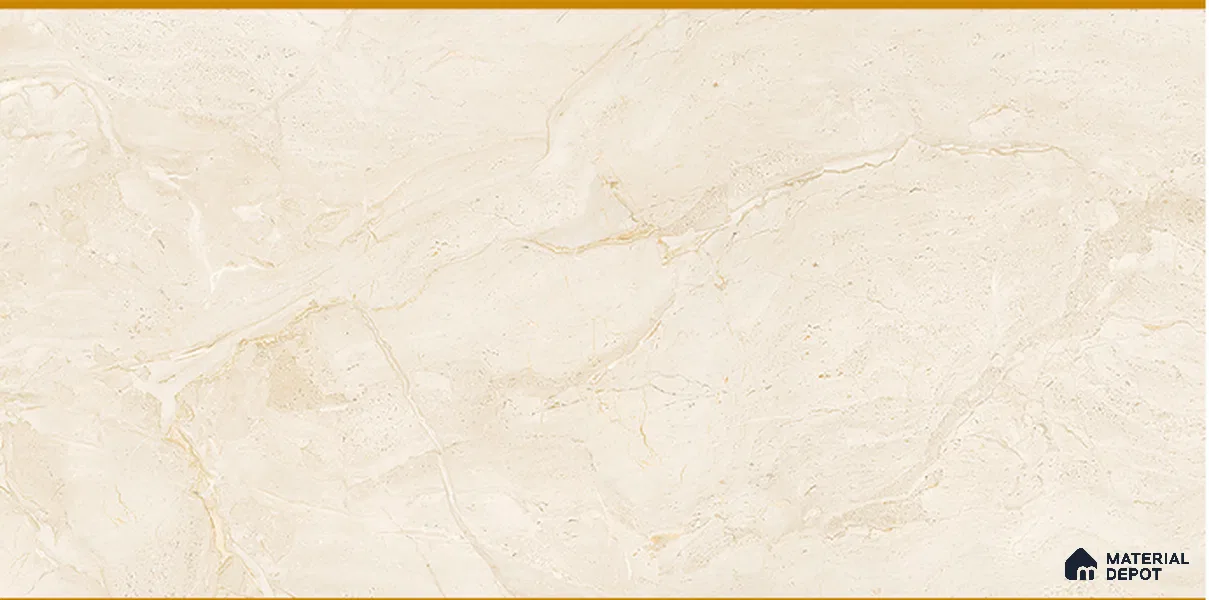 Marble Look Wall Tile TL 11355 205 Light 2 ft x 1 ft Glossy Finish Ceramic Tile - 9 mm