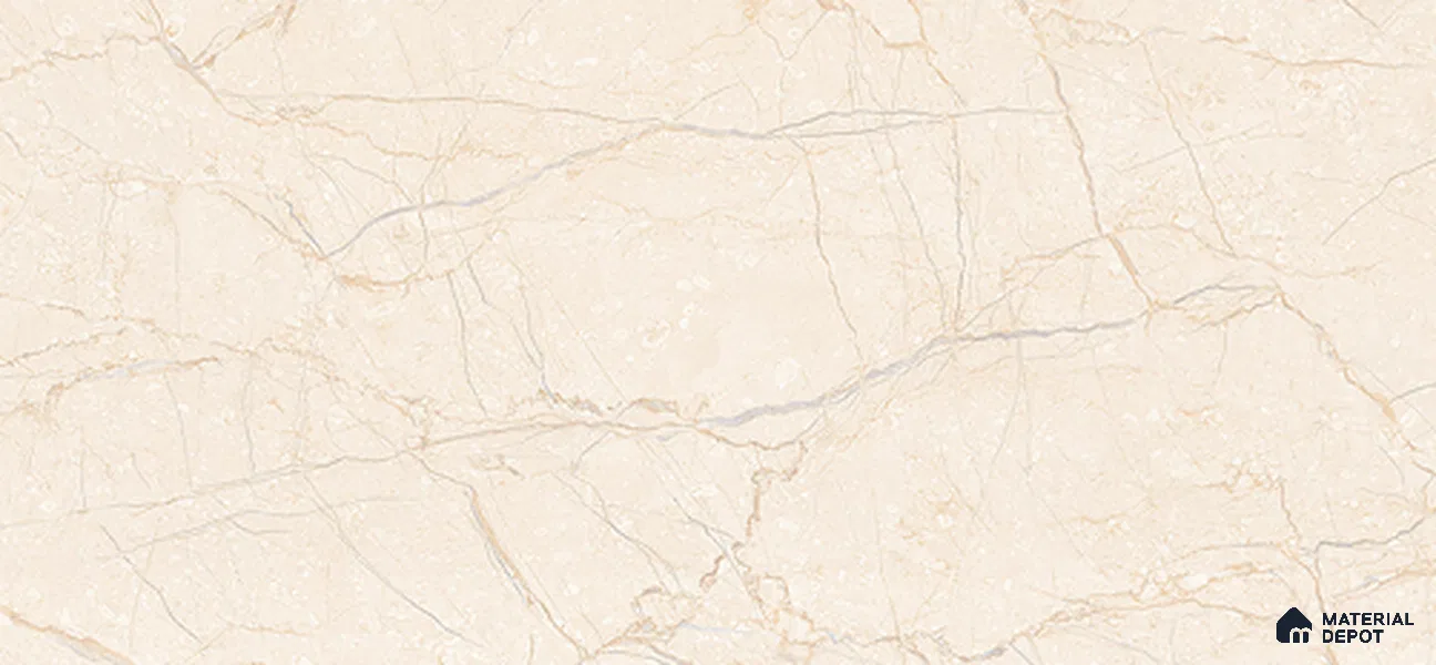 Marble Wall Tile TL 11351 B 201 Light 2 ft x 1 ft Glossy Finish Ceramic Tile - 9 mm