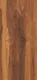 Brust