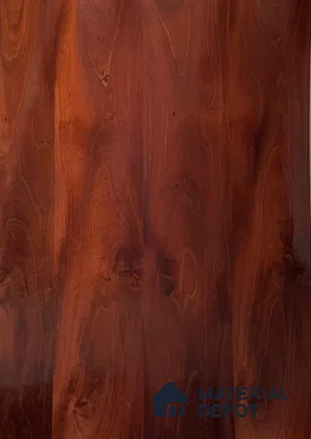 Decidua 2440x1220 mm Silicon Natural Veneer - 3.7 mm