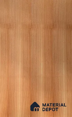 VE 00011 Golden Maple 2440x1220 mm Silicon Natural Veneer - 3.7 mm