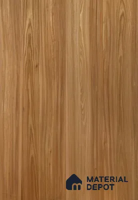 Red Elm 2440x1220 mm Silicon Natural Veneer - 3.7 mm