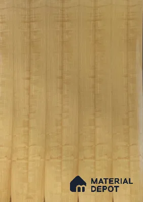 White Ash Premium 2440x1220 mm Silicon Natural Veneer - 3.7 mm