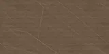 Marble Wall Tile TL 05610 C Gravier Lush Brown Decor 2 ft x 4 ft Vitrified Lush Plus Matte Finish - 9 mm | 6 Random Design | Suitable for Living Room, Bedroom, Bathroom | Image 1