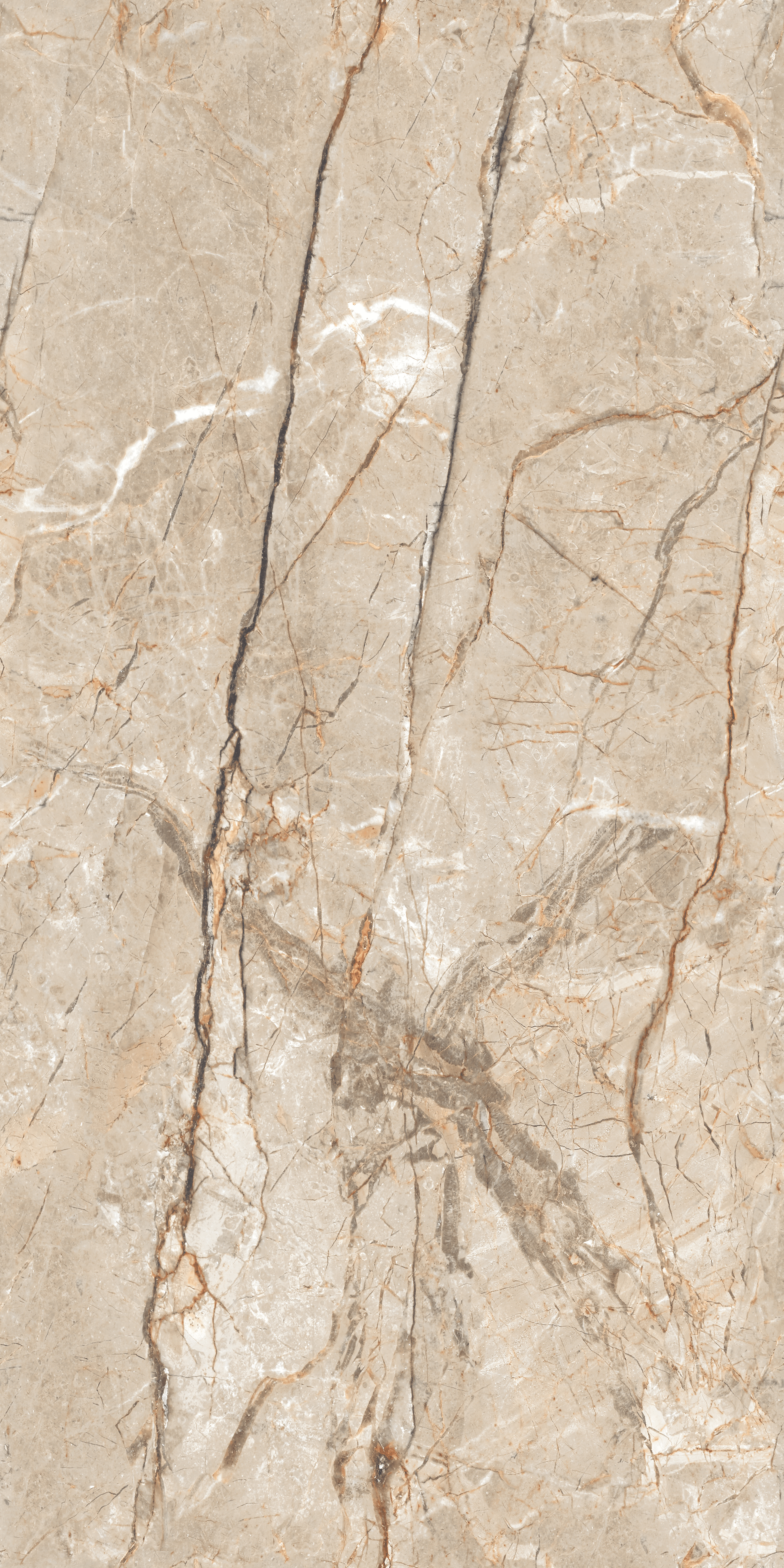 Endless Floor & Wall Tile TL 02944 Earth Brown 1600 x 800 mm Glossy Finish Vitrified Tile - 9 mm | Suitable For Living Room, Bedroom (Sample)