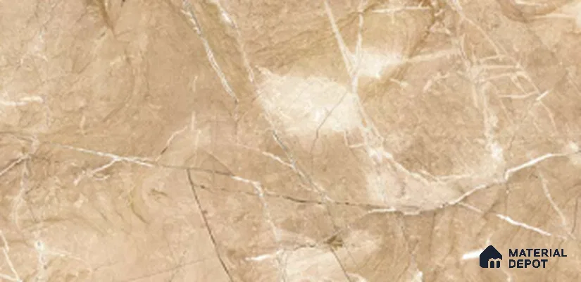TL 02454 C Marrone Brown Dark 2 ft x 1 ft Glossy Finish Ceramic Wall Tile - 6 mm (Sample)