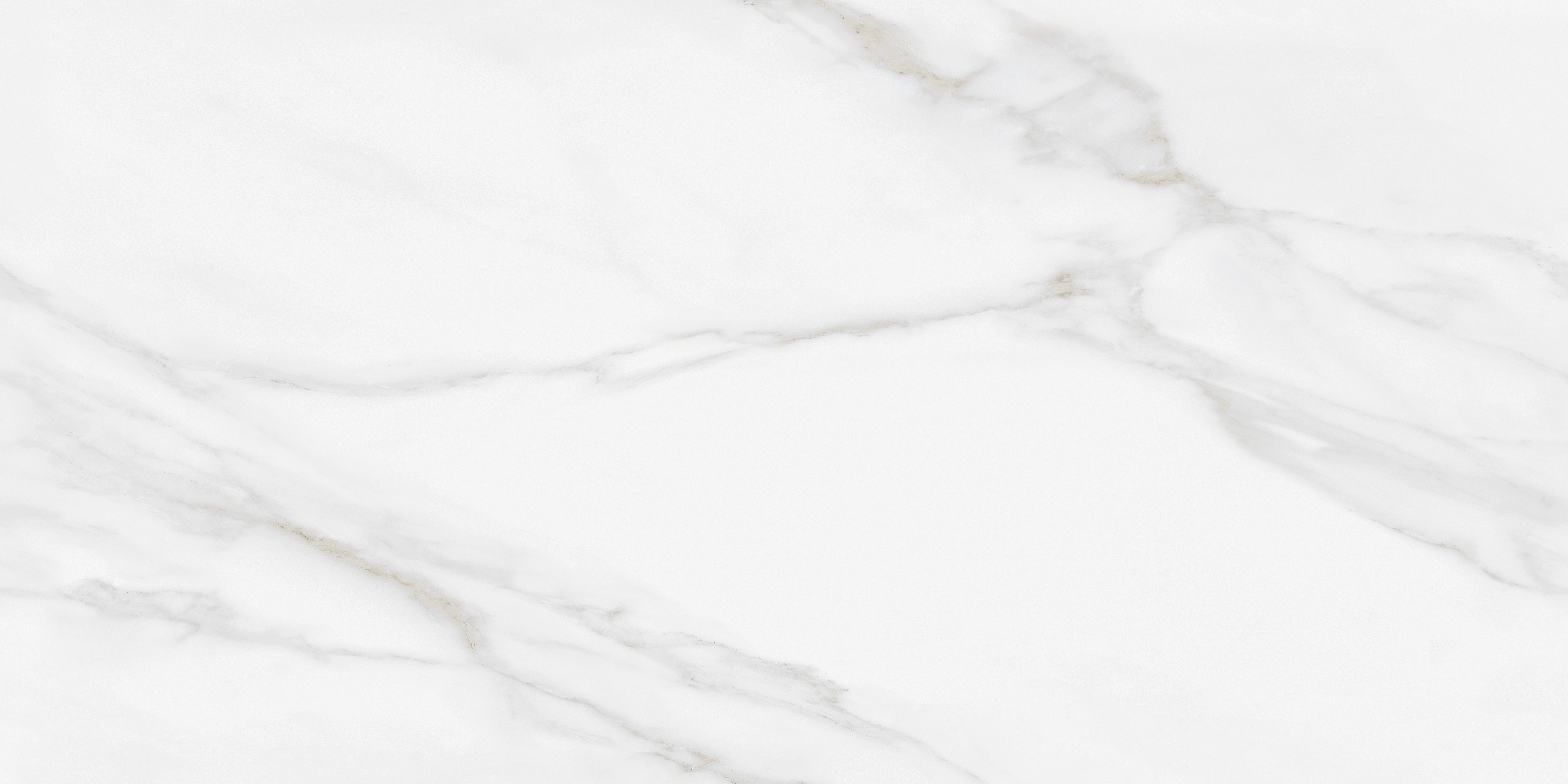 Endless Floor & Wall Vitrified Tile Statuario Venus White 4 ft x 2 ft | TL 01187 Glossy Finish - 9 mm | Suitable for Living Room, Bedroom (Sample)