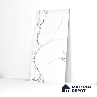 Endless Floor & Wall Tile TL 02941 White 1600 x 800 mm Glossy Finish Vitrified Tile - 9 mm | Suitable For Living Room, Bedroom
