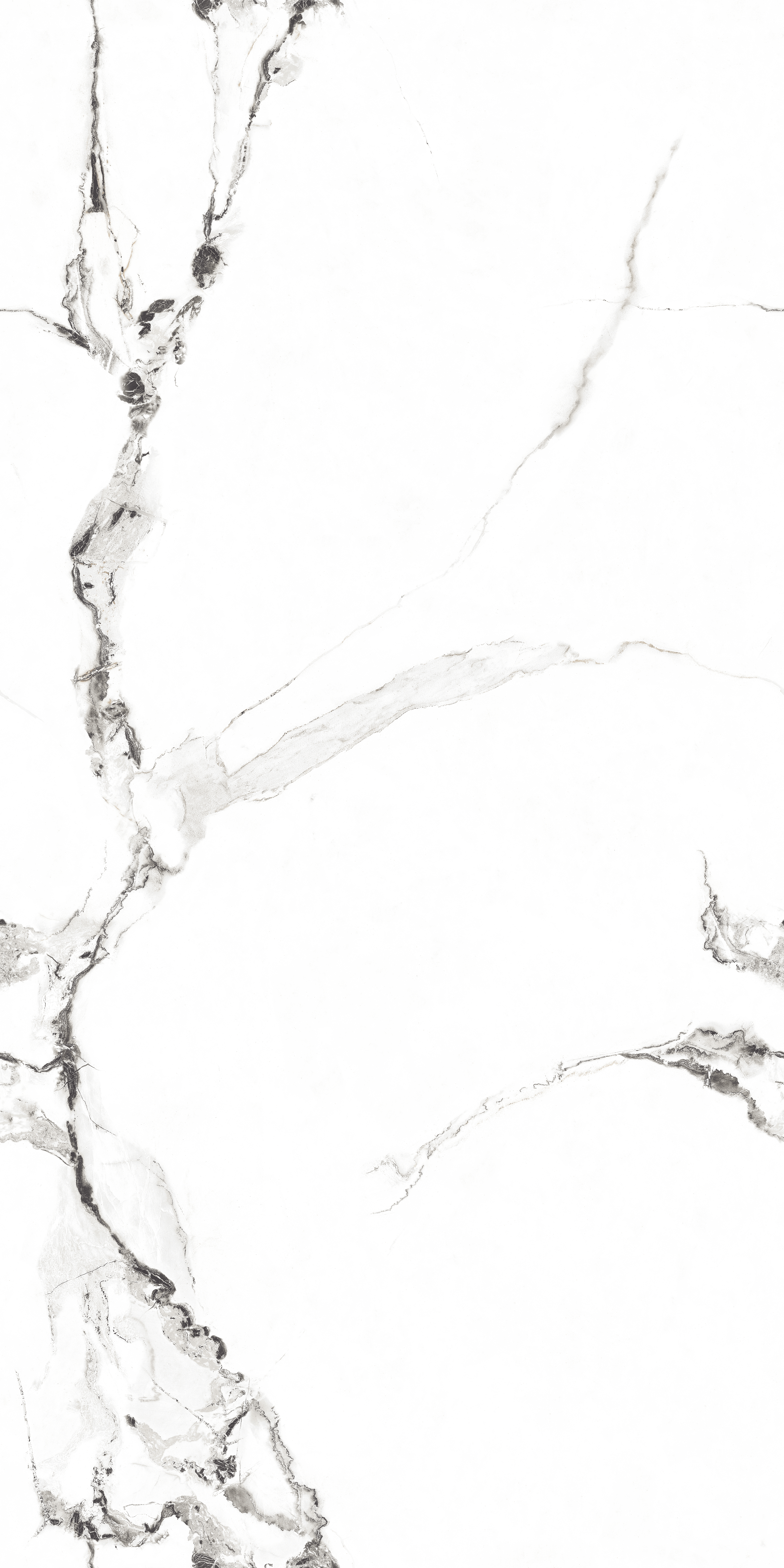 Endless Floor & Wall Tile TL 02941 White 1600 x 800 mm Glossy Finish Vitrified Tile - 9 mm | Suitable For Living Room, Bedroom