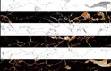1572  BHL with aGlossy finish available for sale at Material Depot in Bangalore