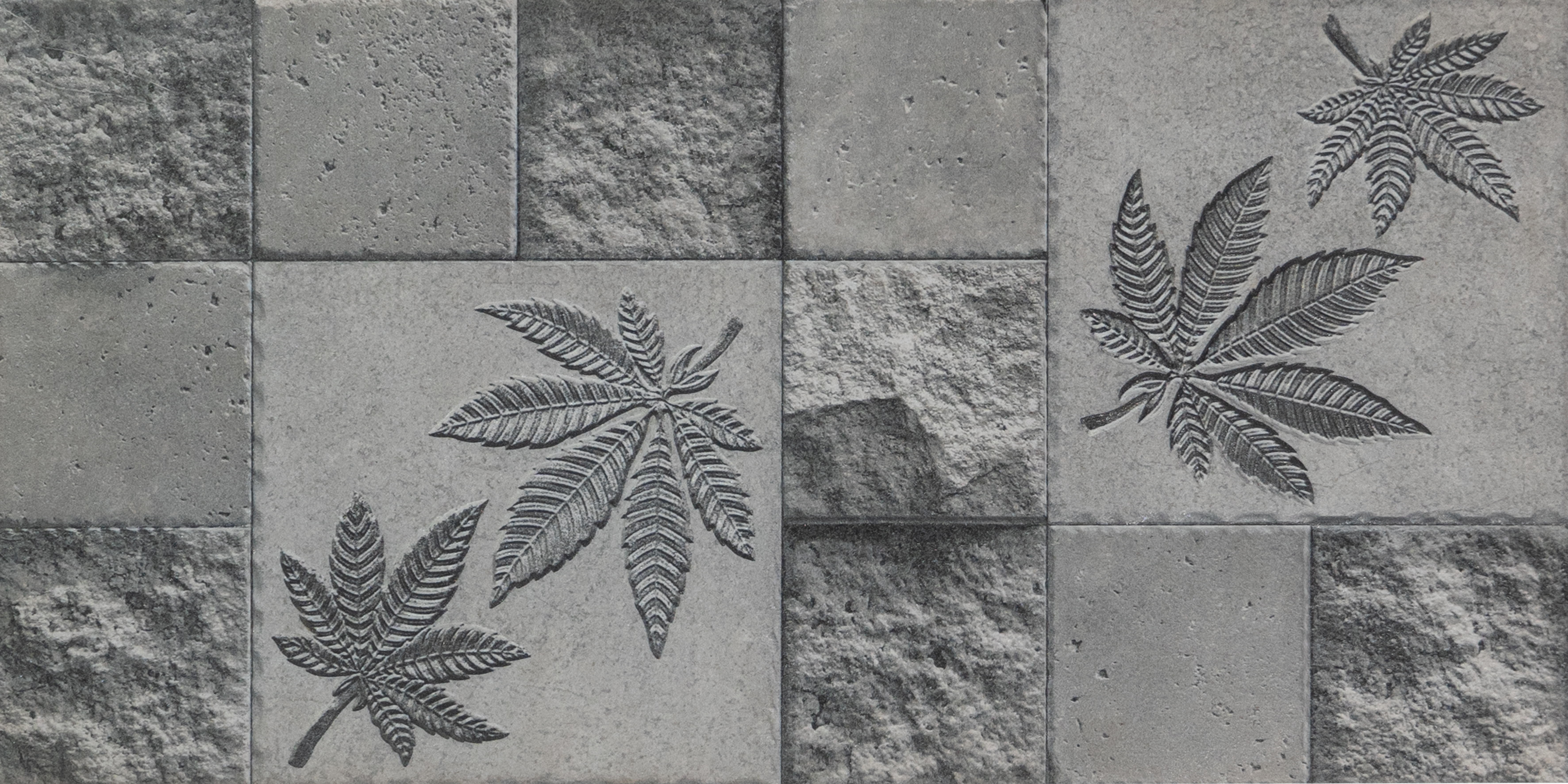 TL 00128 C Foggy Grey 2 ft x 1 ft Matte Finish Ceramic High Depth Elevation Wall Tile - 9 mm